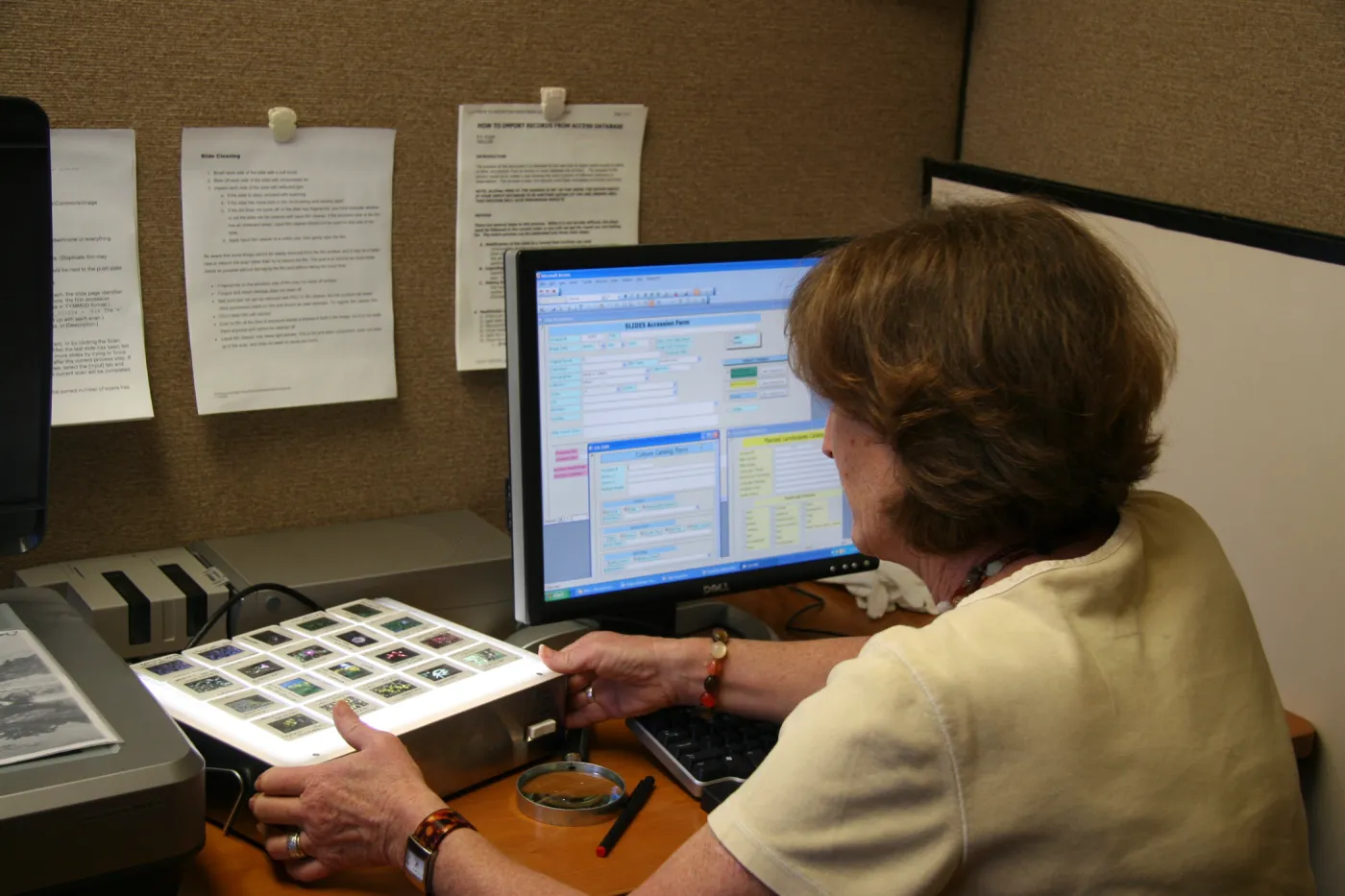 Betsy Collins, IMLS Digital Image Library Project