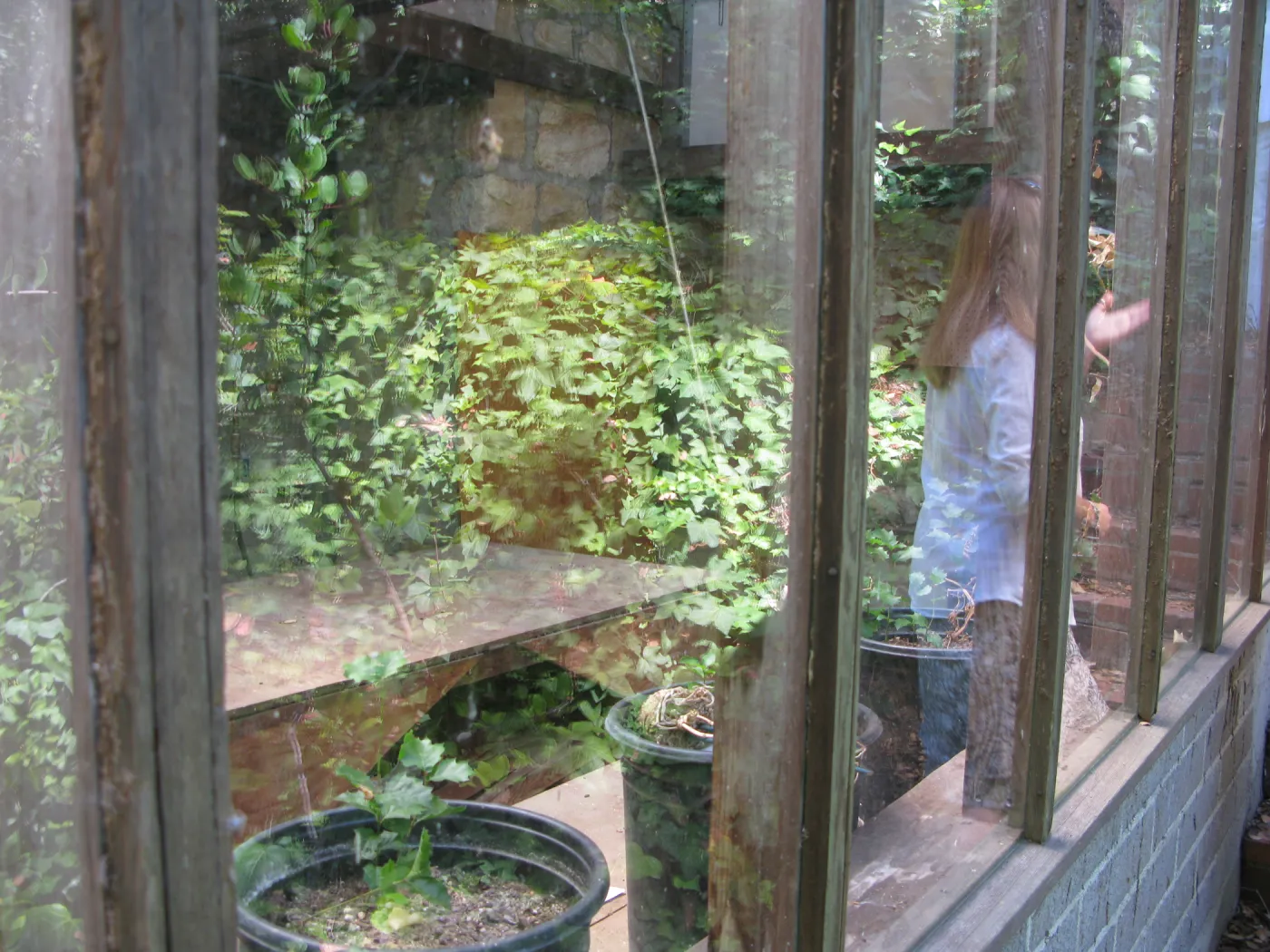 Guild House greenhouse