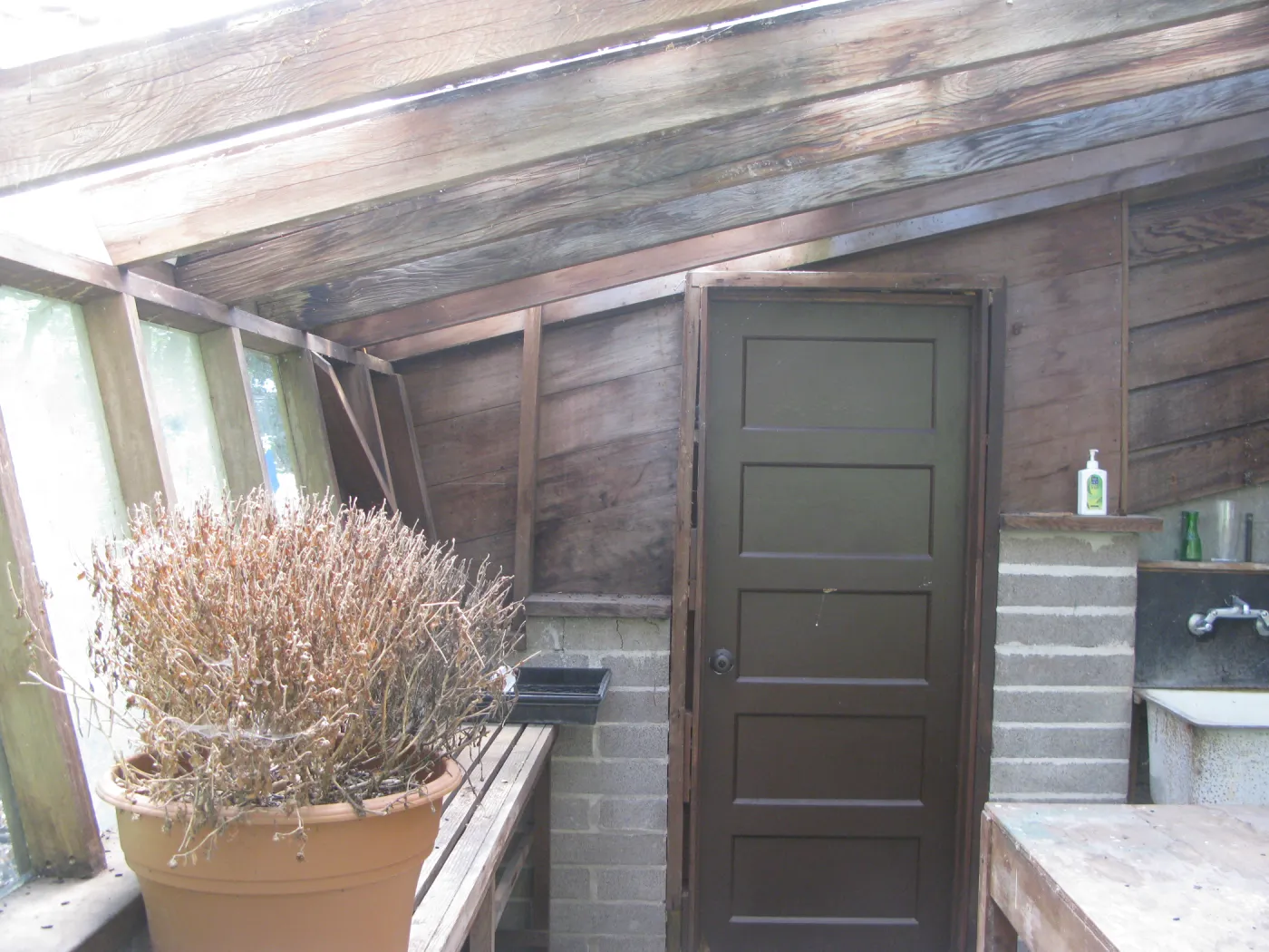 Guild House greenhouse