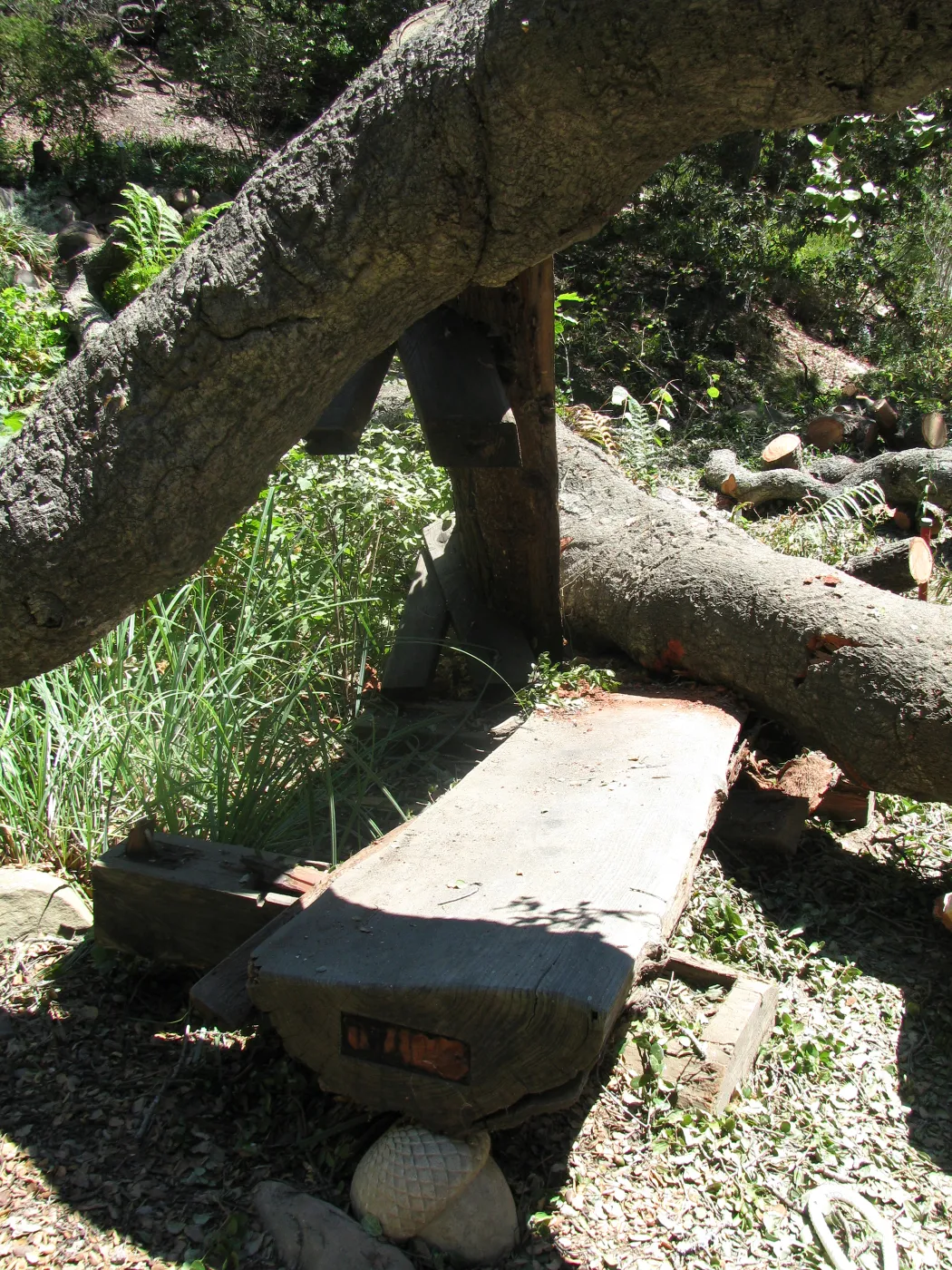 Fallen Oak Damages