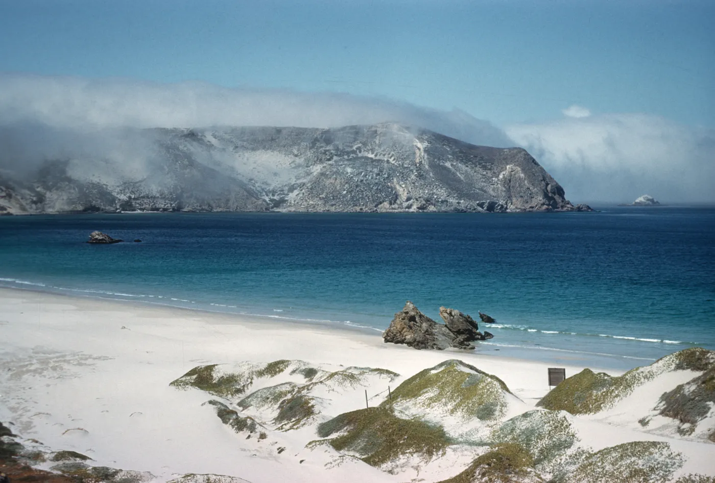 Coastal Sand Dune, San Miguel Island