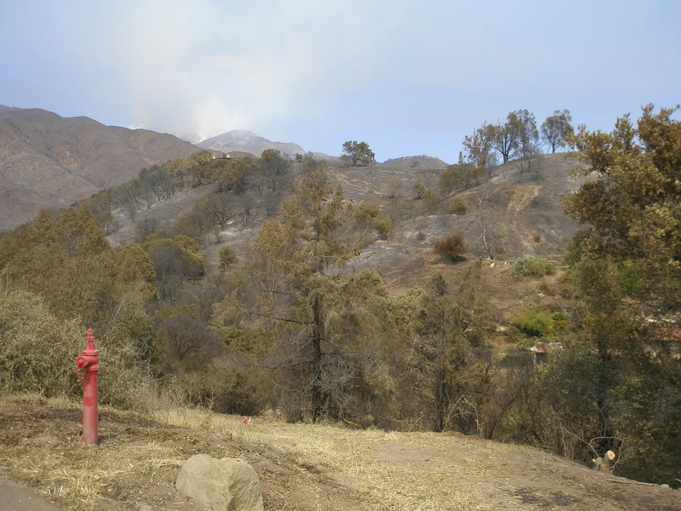 Garden property on east slope, after the Jesusita Fire