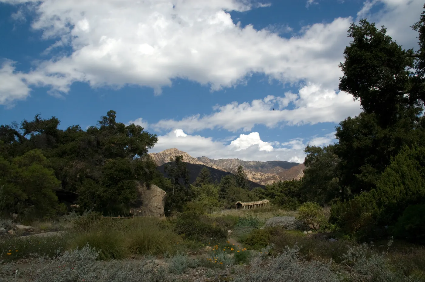 SBBG 2010