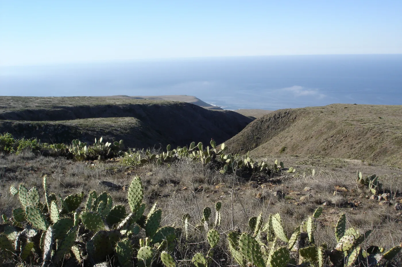 San Clemente Island, SBBG Research 2007