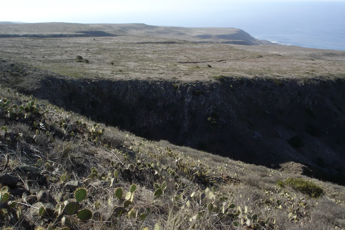 San Clemente Island, SBBG Research 2007