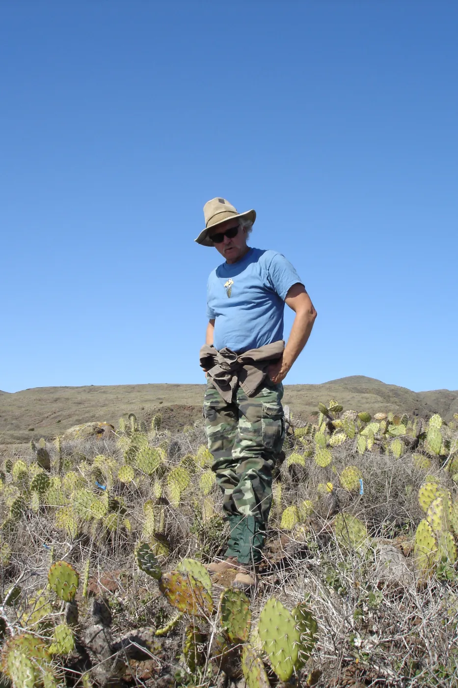 Malacothamnus clementinus population, San Clemente Island, SBBG Research 2007, Steve Junak
