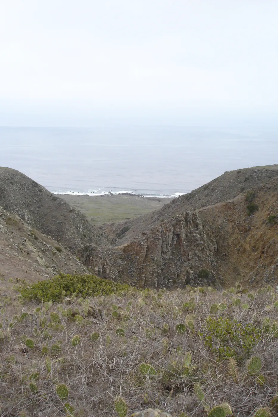 San Clemente Island, SBBG Research 2007