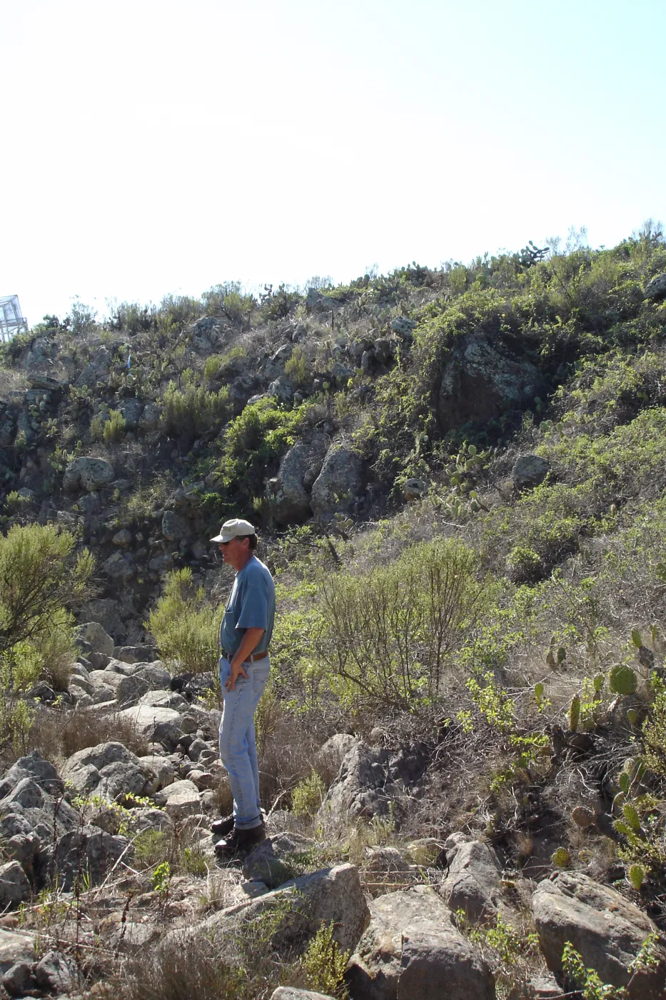 San Clemente Island, SBBG Research 2007, Bob Muller