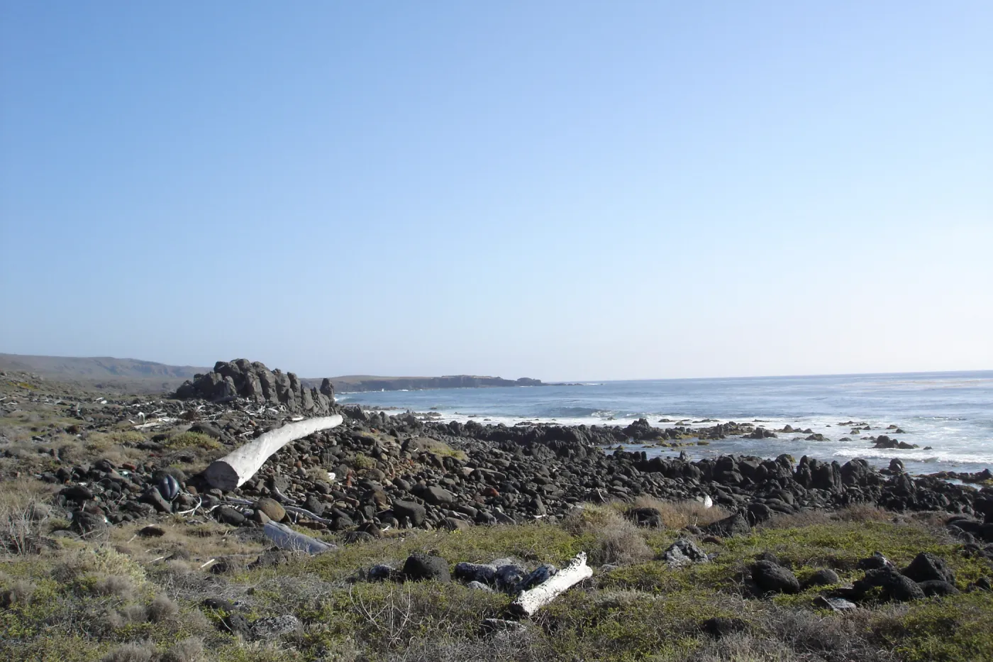 San Clemente Island, SBBG Research 2007