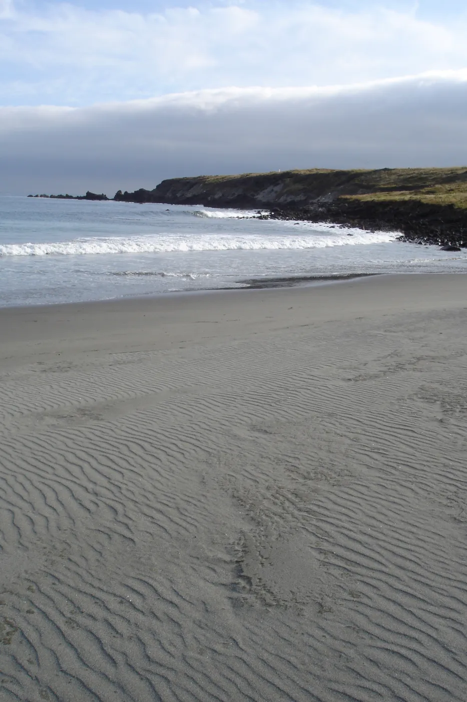 Horse Beach Cove, San Clemente Island, SBBG Research 2005