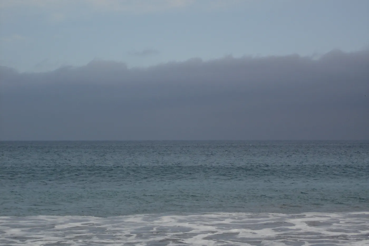 maritime fog, San Clemente Island, SBBG Research 2005