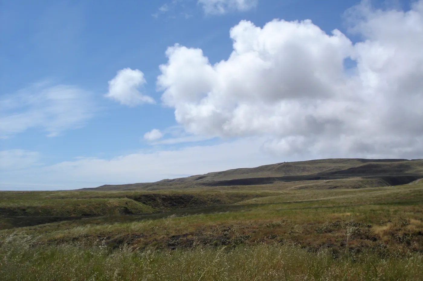 San Clemente Island, SBBG Research 2005