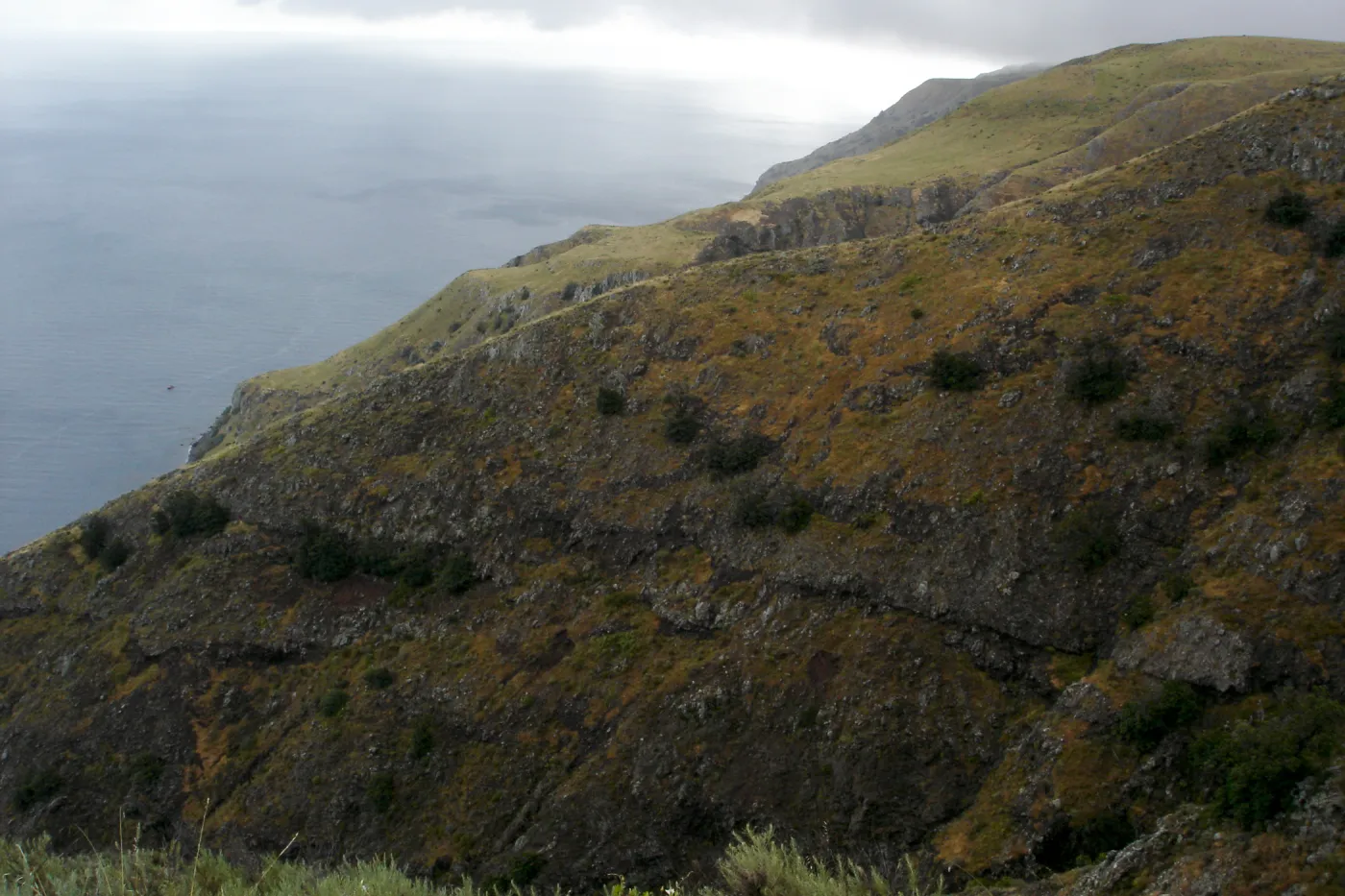 San Clemente Island, SBBG Research 2005