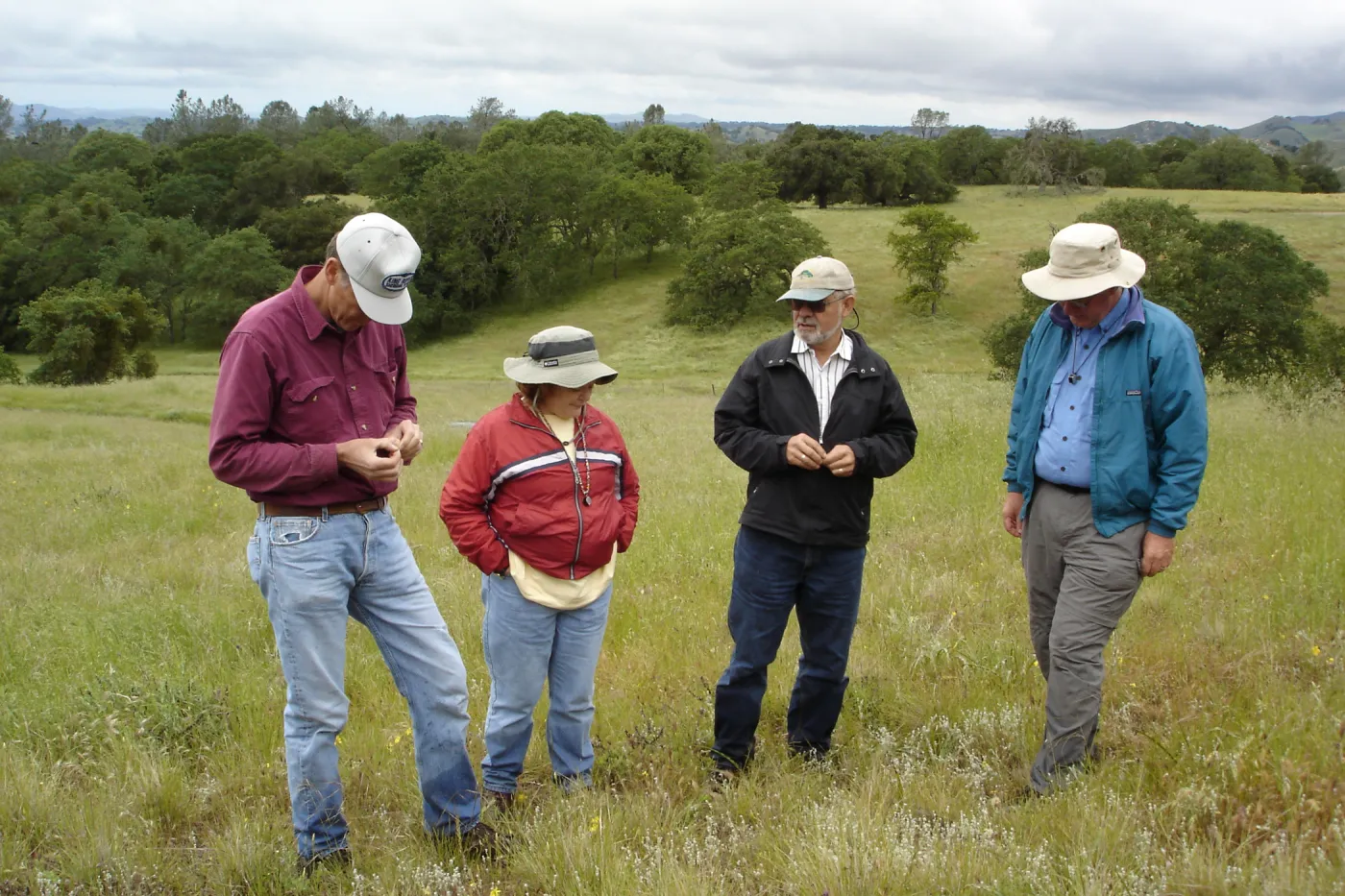 examining cleistogamus Mimulus population, SBBG Research field trip to Sedgwick Reserve