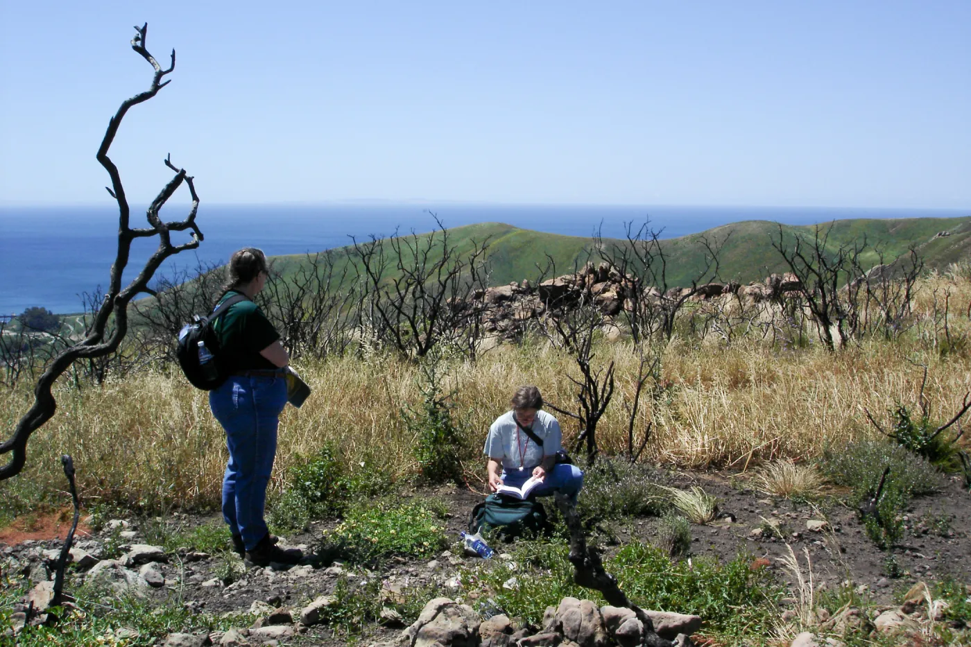 Gaviota burn site, SBBG staff field trip 2005, view to San Miguel Island