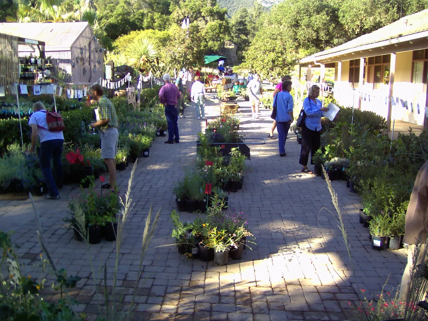 Fall Plant Sale, 2005