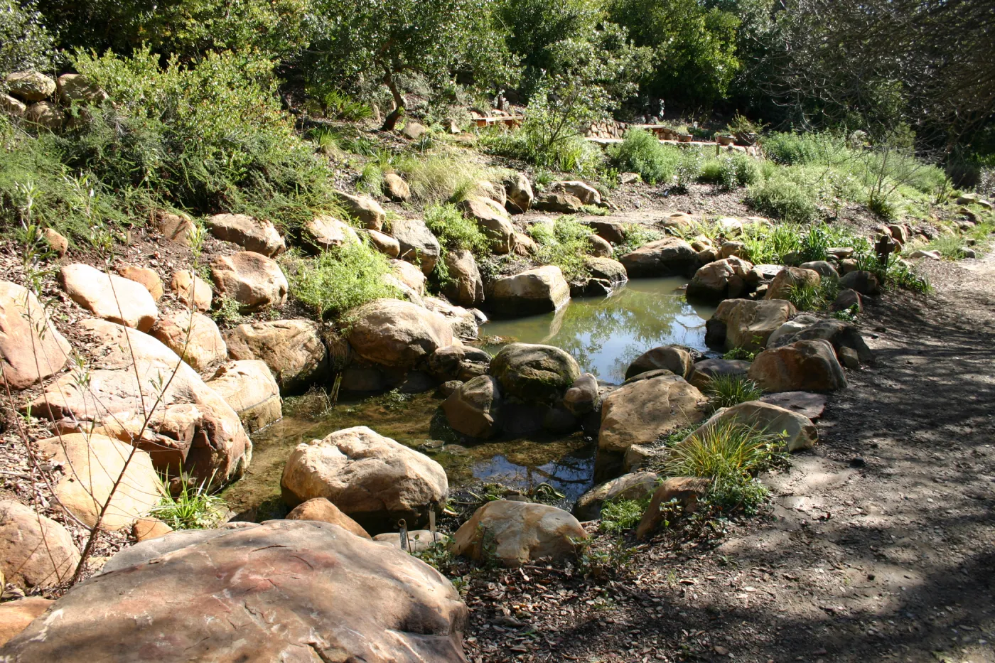 new ponds in the Discovery Garden, Arroyo Section