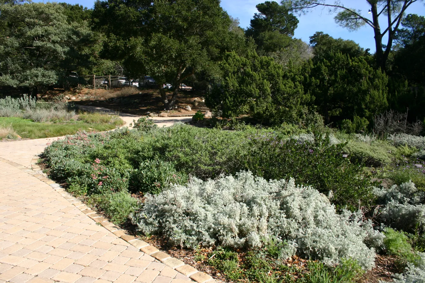 pavered pathway along the Meadow