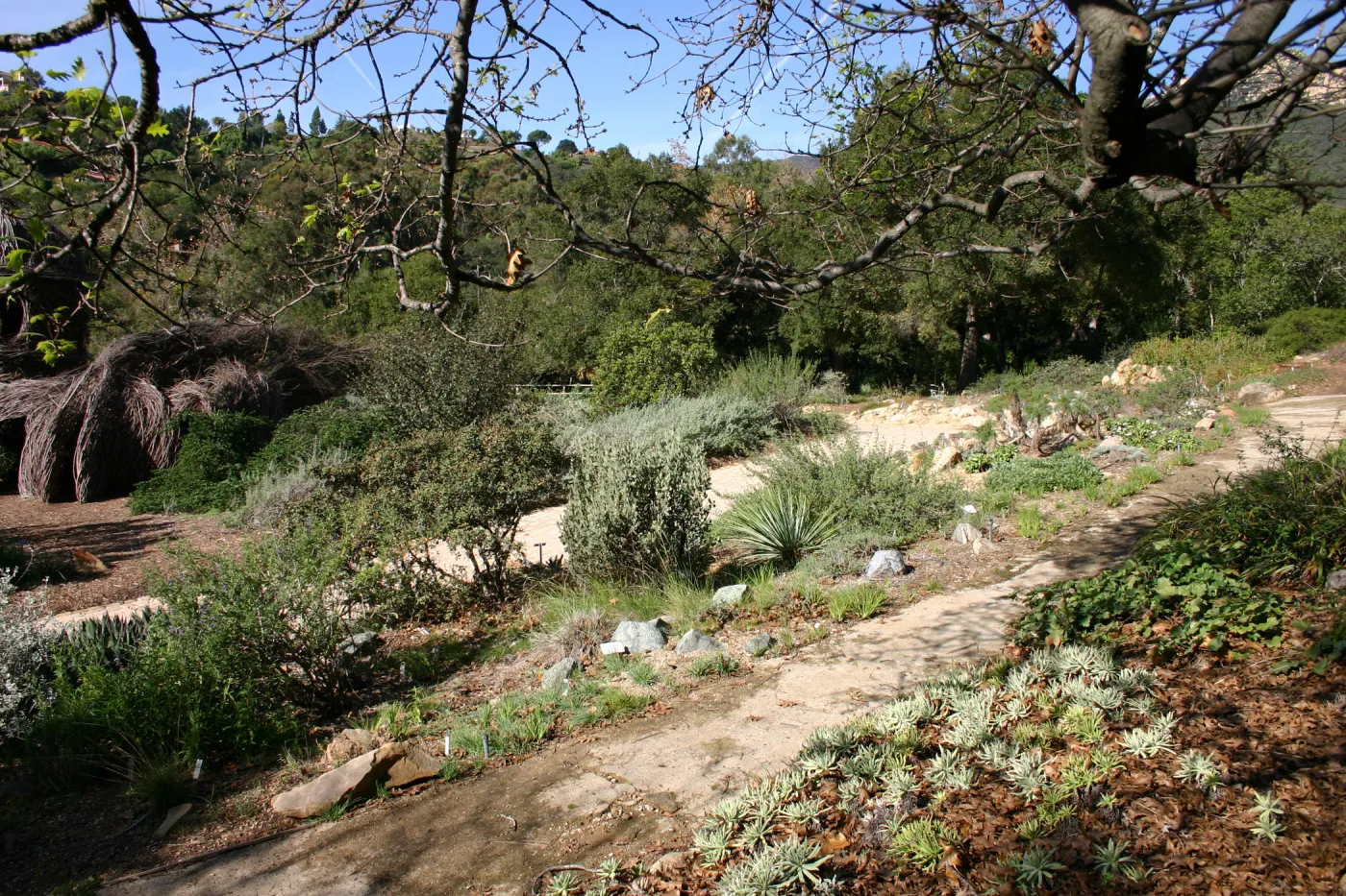 Meadow View garden, Toad Hall exhibit