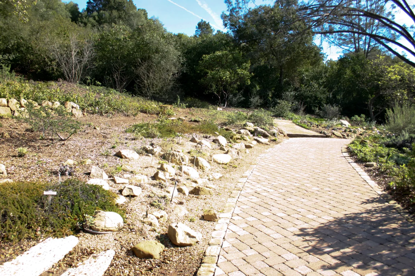 Meadow View garden, pavered path at top of Meadow