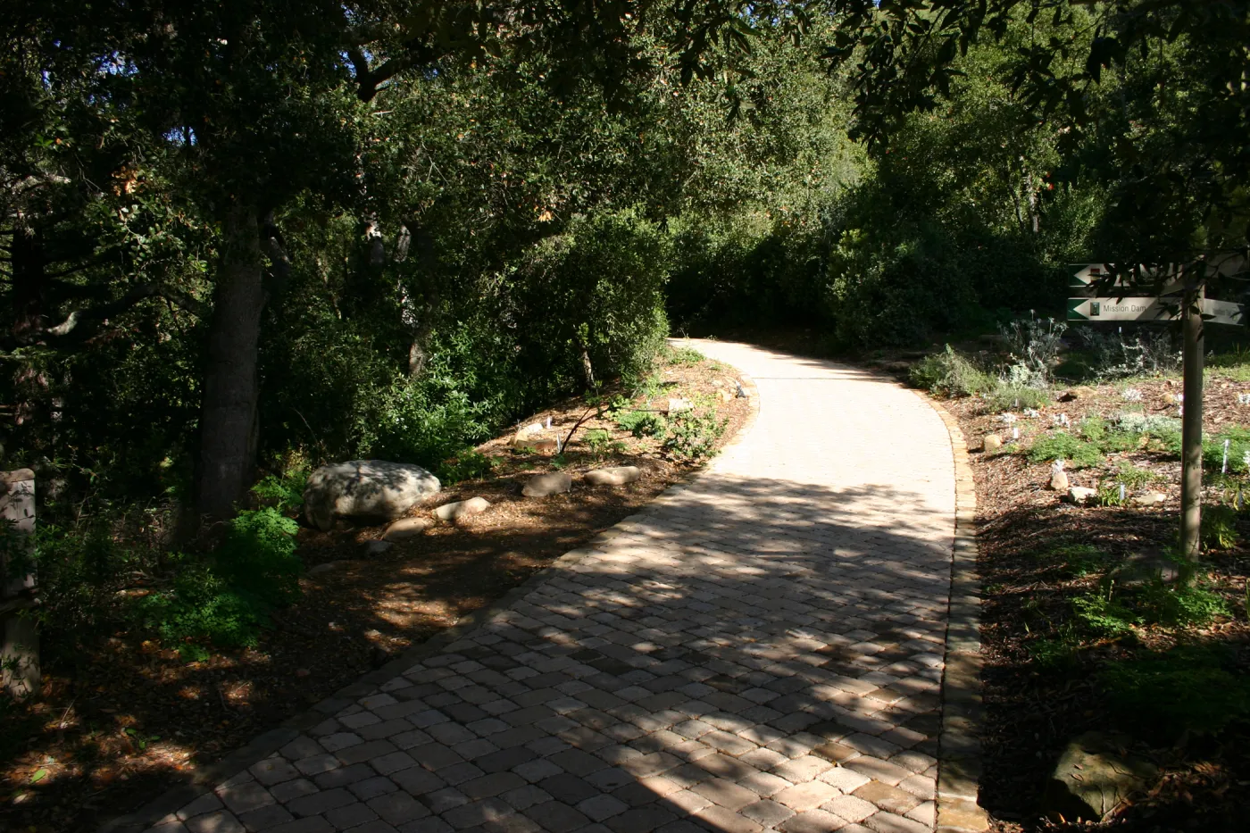 pavered path to the Redwoods