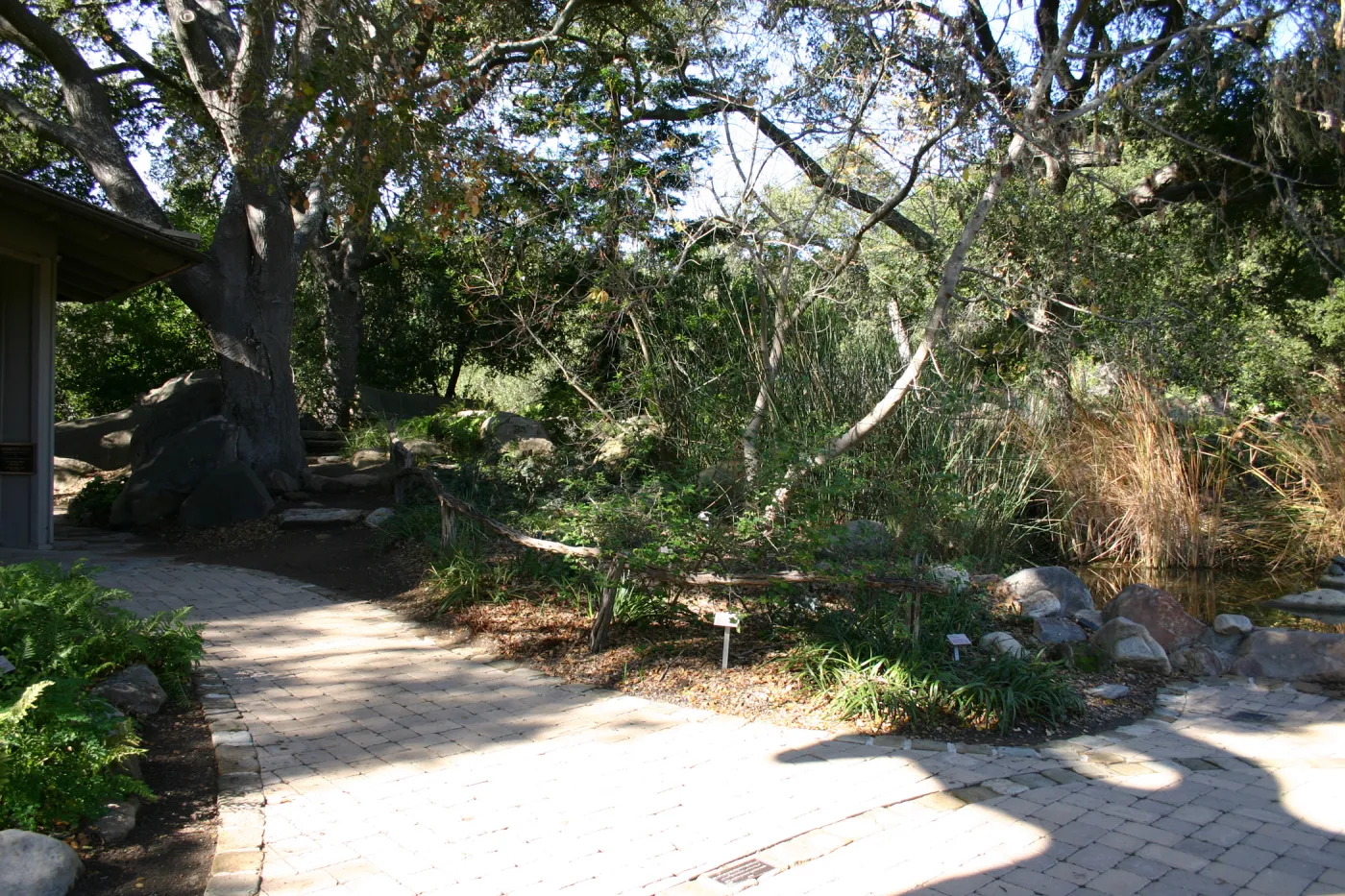 pavered path to the Meadow pond and information kiosk
