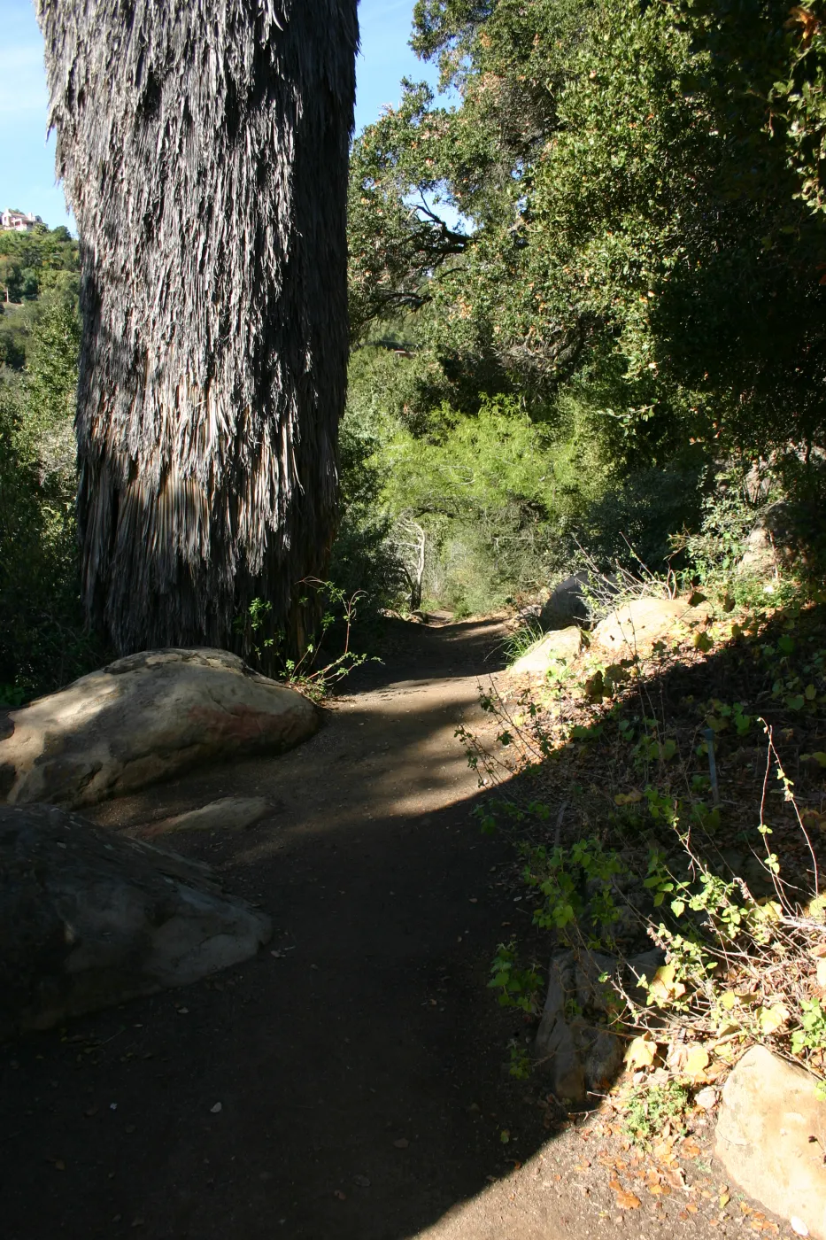 pathway through the Desert Section, top of Campbell Trail (not pavered)