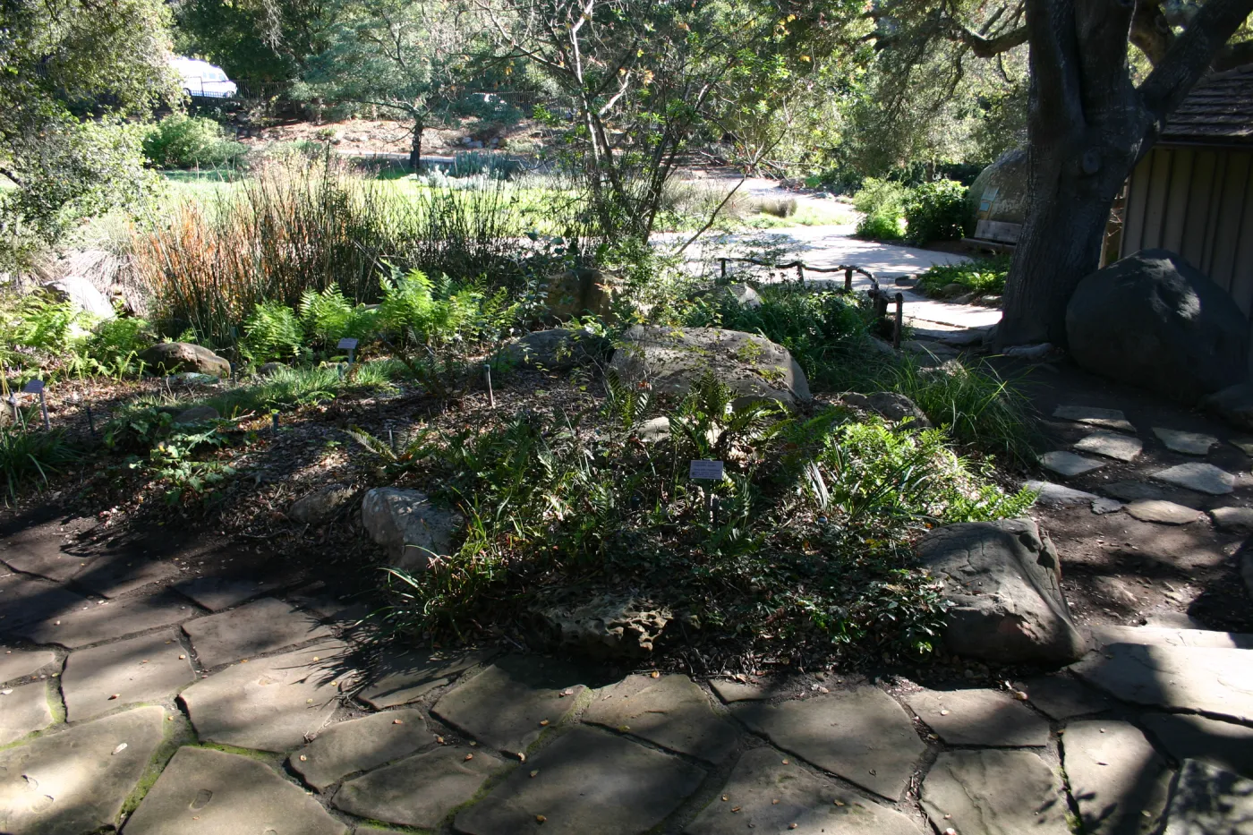 paving stones above the pond