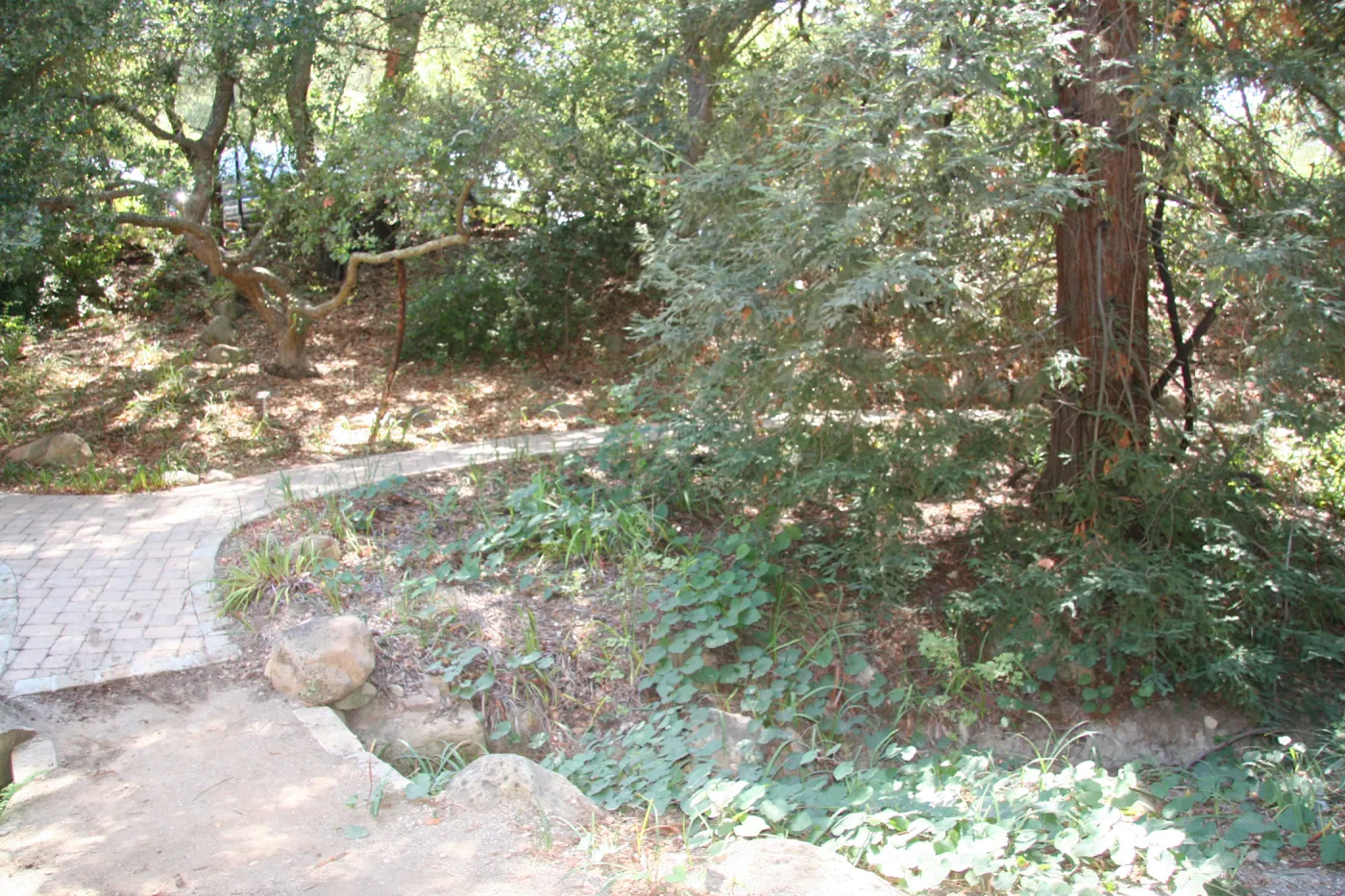 Arroyo Section