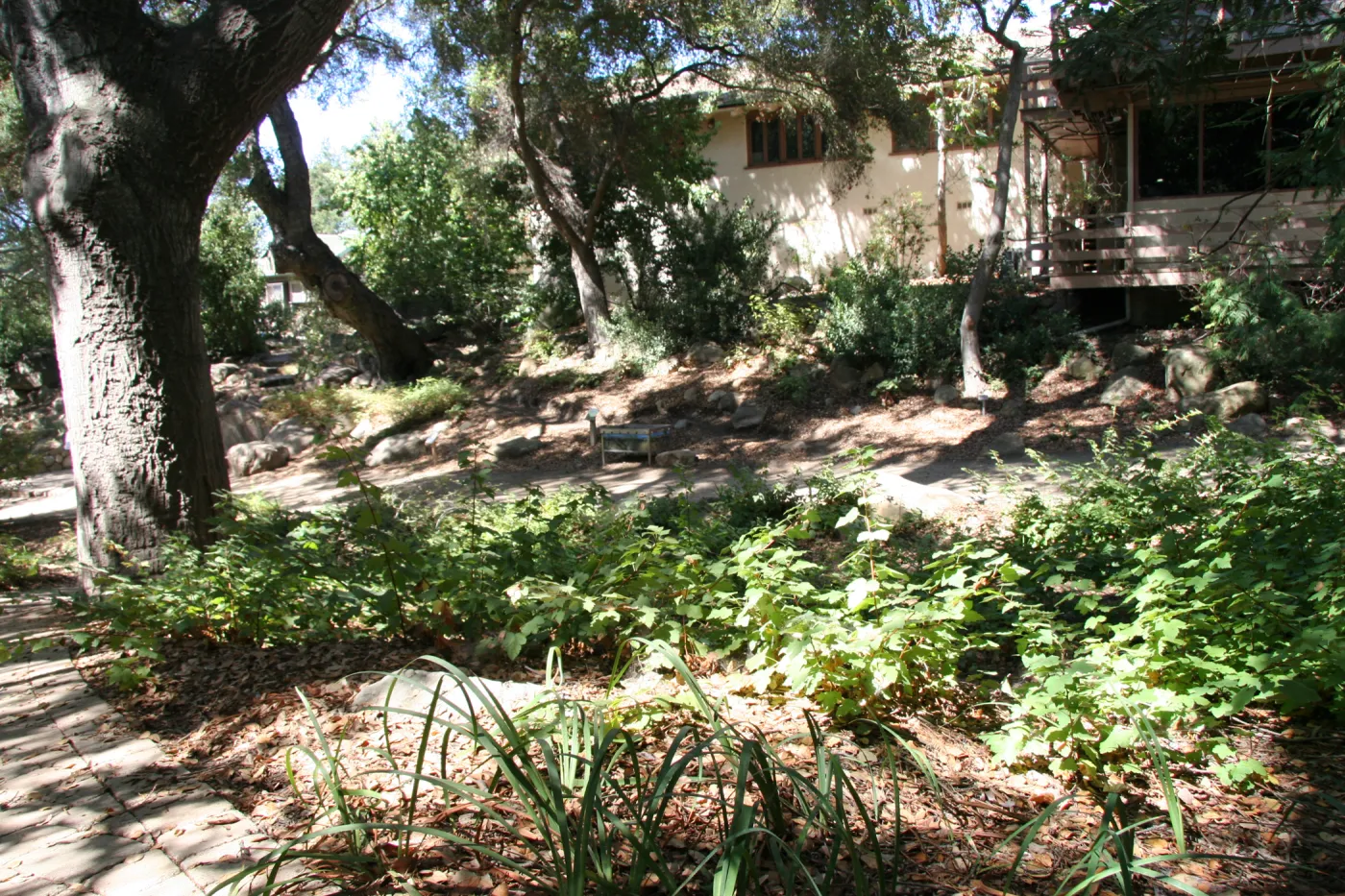 Arroyo Section