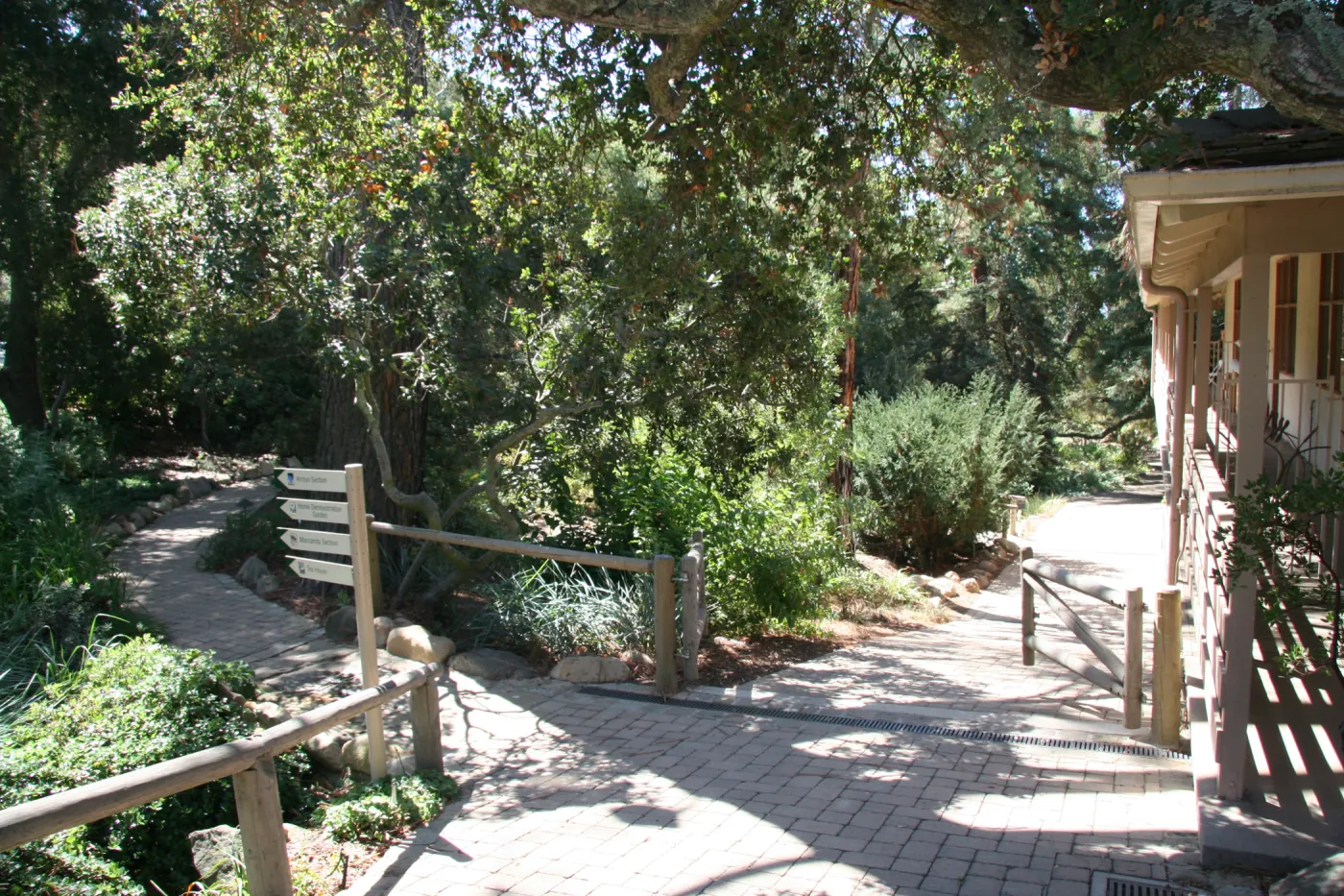 top of the Arroyo Section