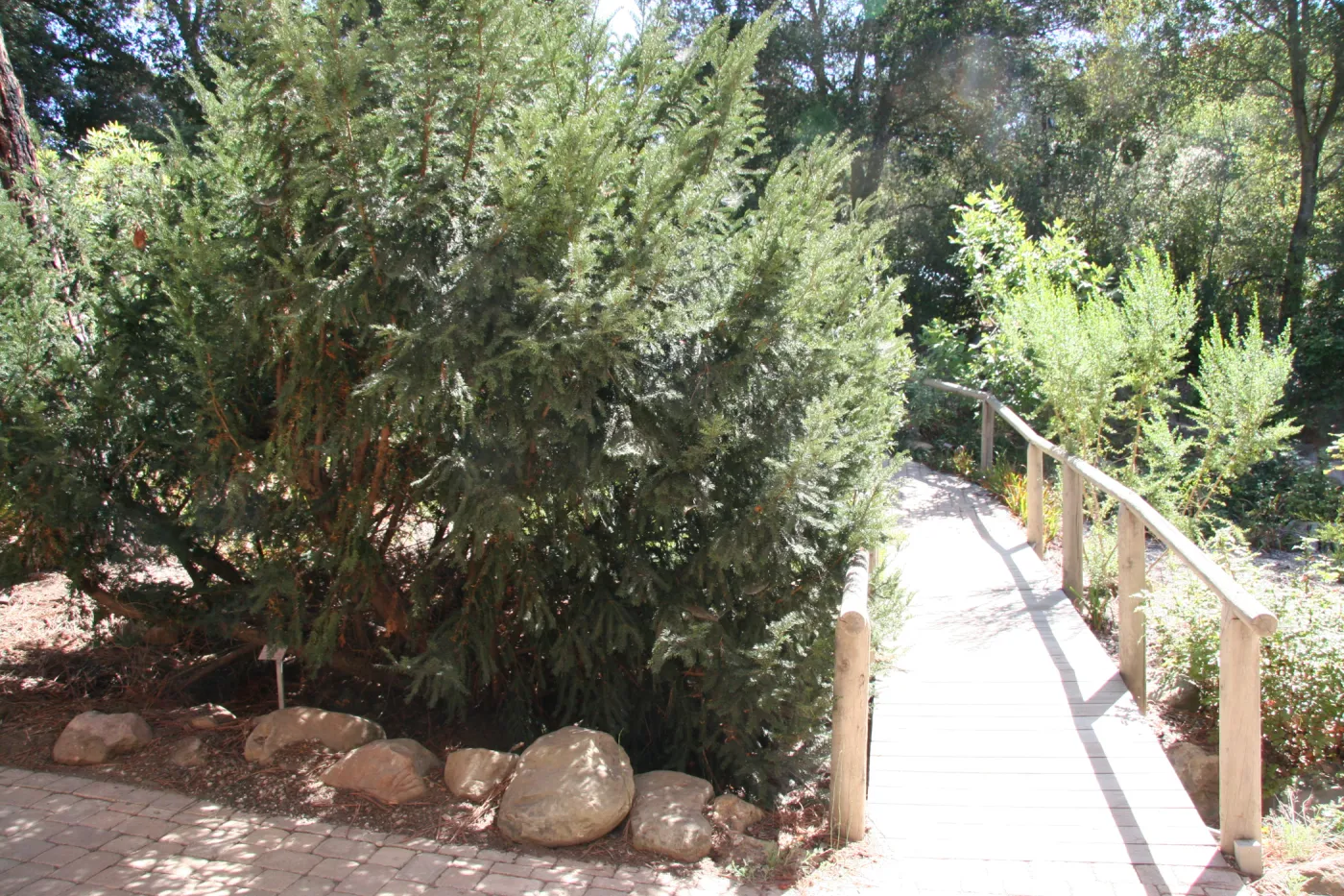 Arroyo Section