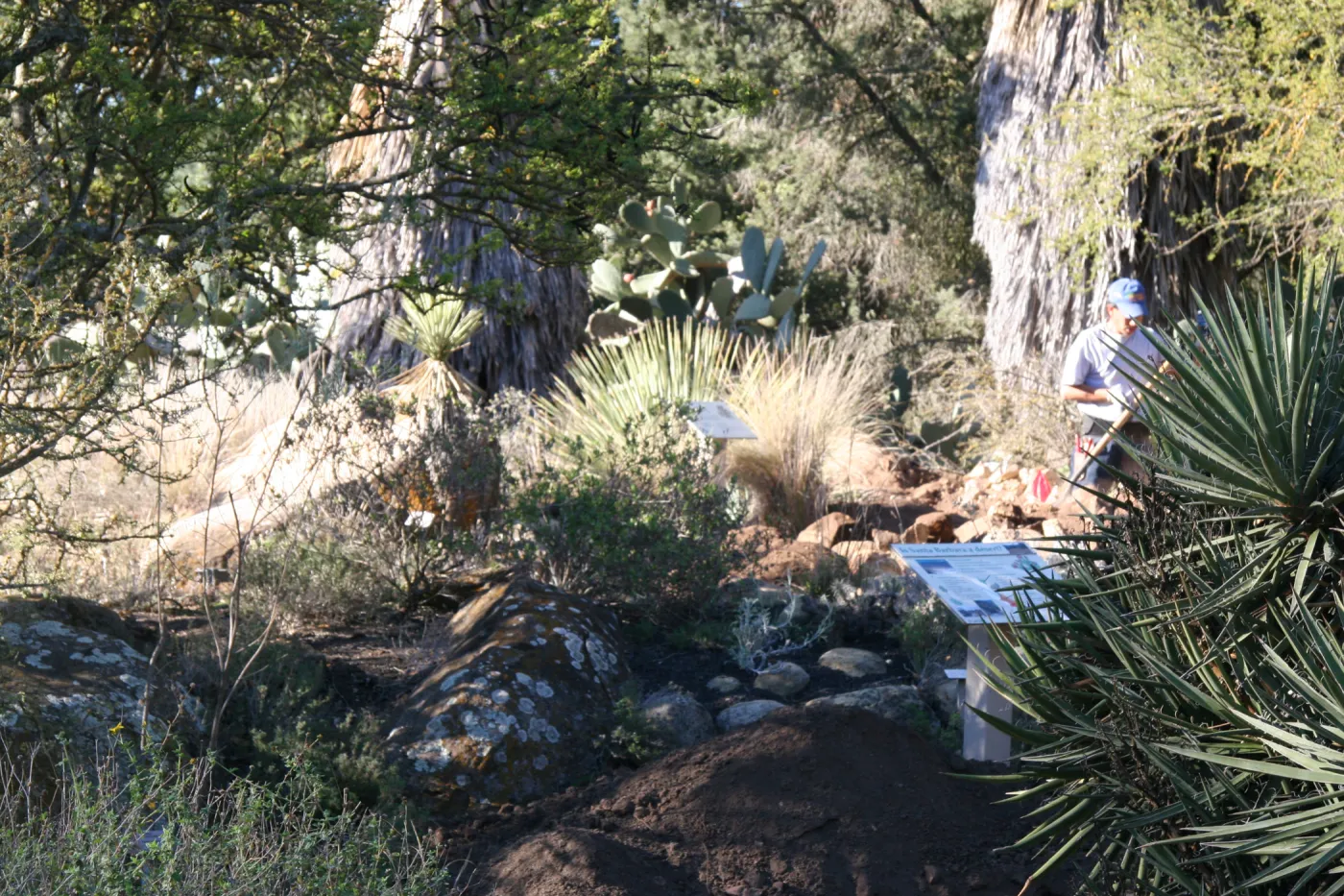Irrigation construction in the Desert Section