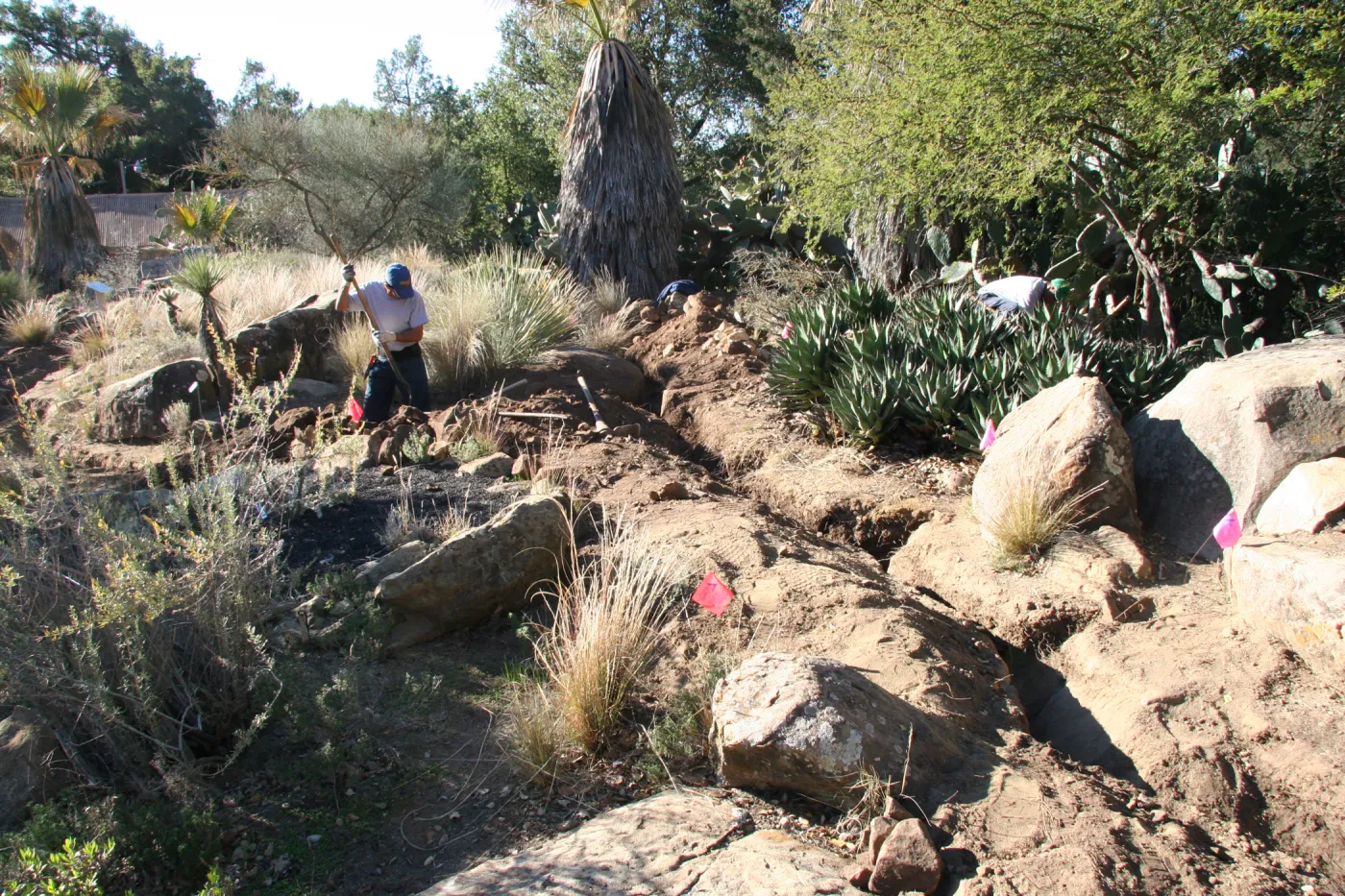 Irrigation construction in the Desert Section