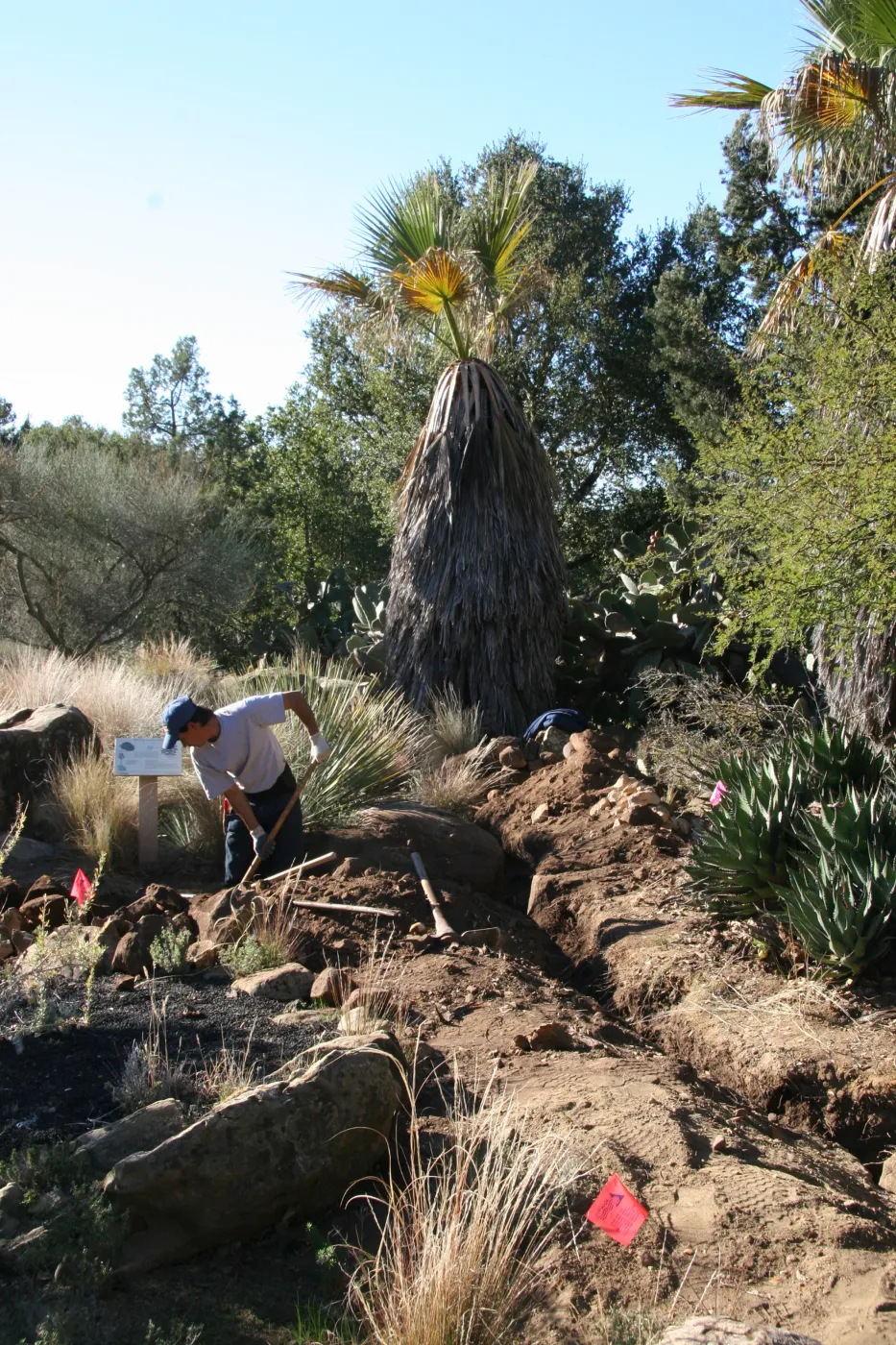 Irrigation construction in the Desert Section