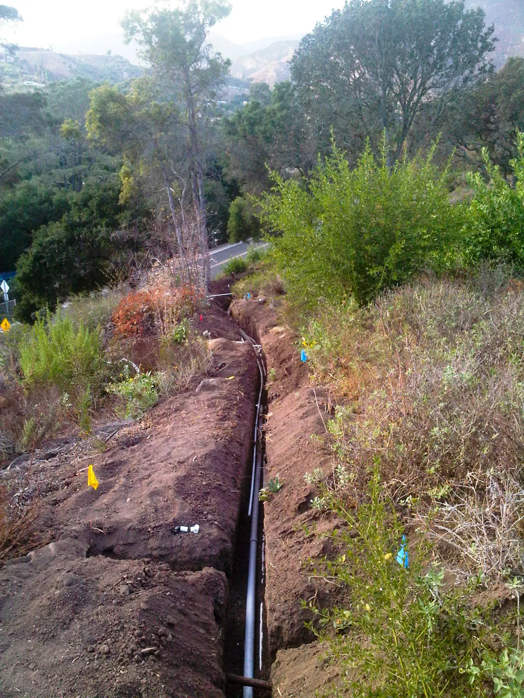 new irrigation pipes on the Porter Trail slope, 2010
