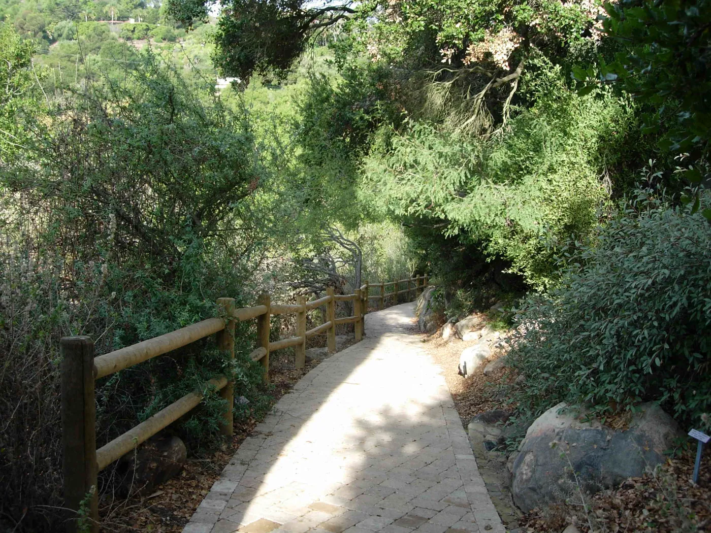 Accessible paving installed on the Campbell Trail, SBBG 2006 Projects