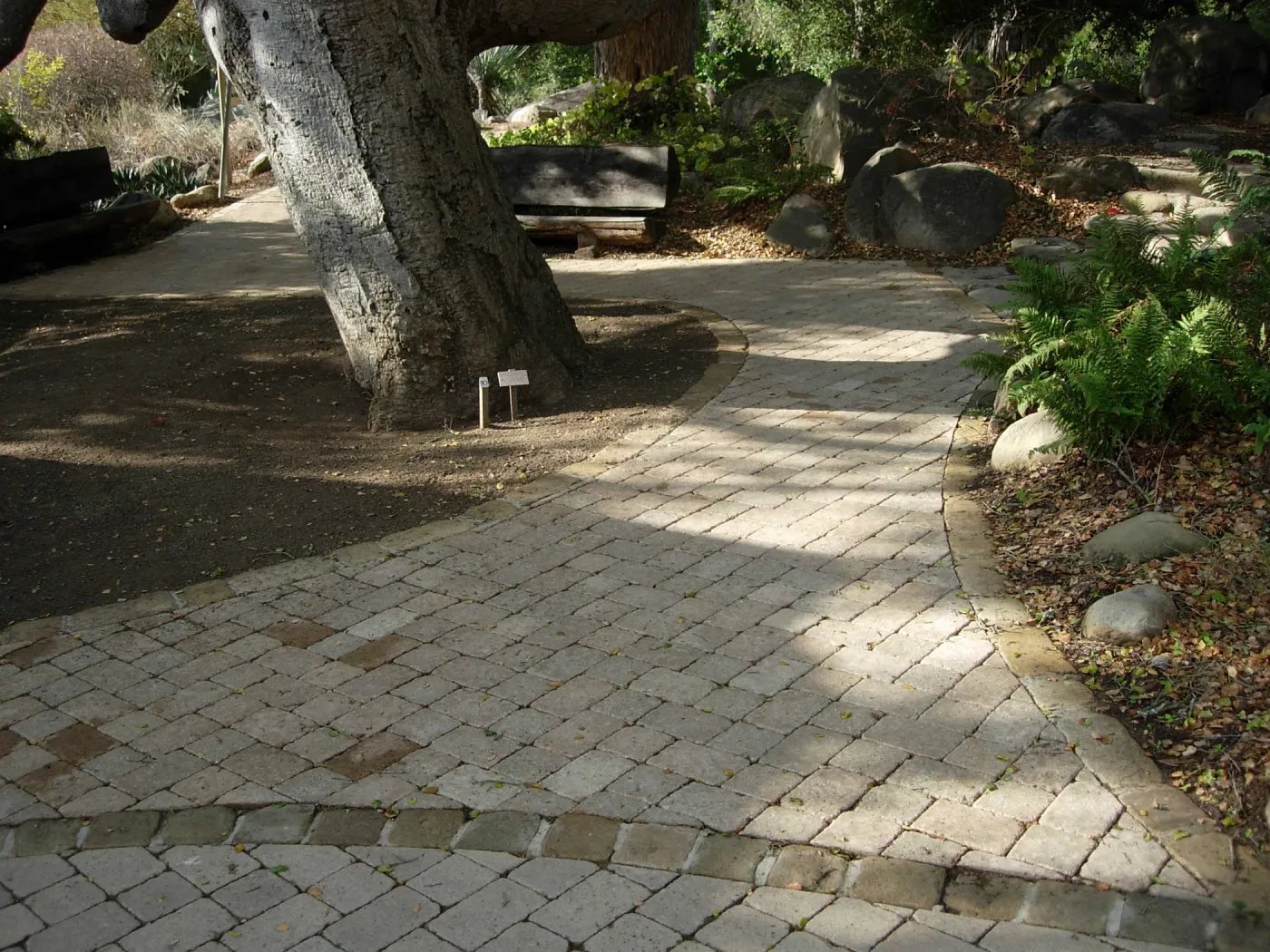 Accessible paving installed on the Campbell Trail, SBBG 2006 Projects