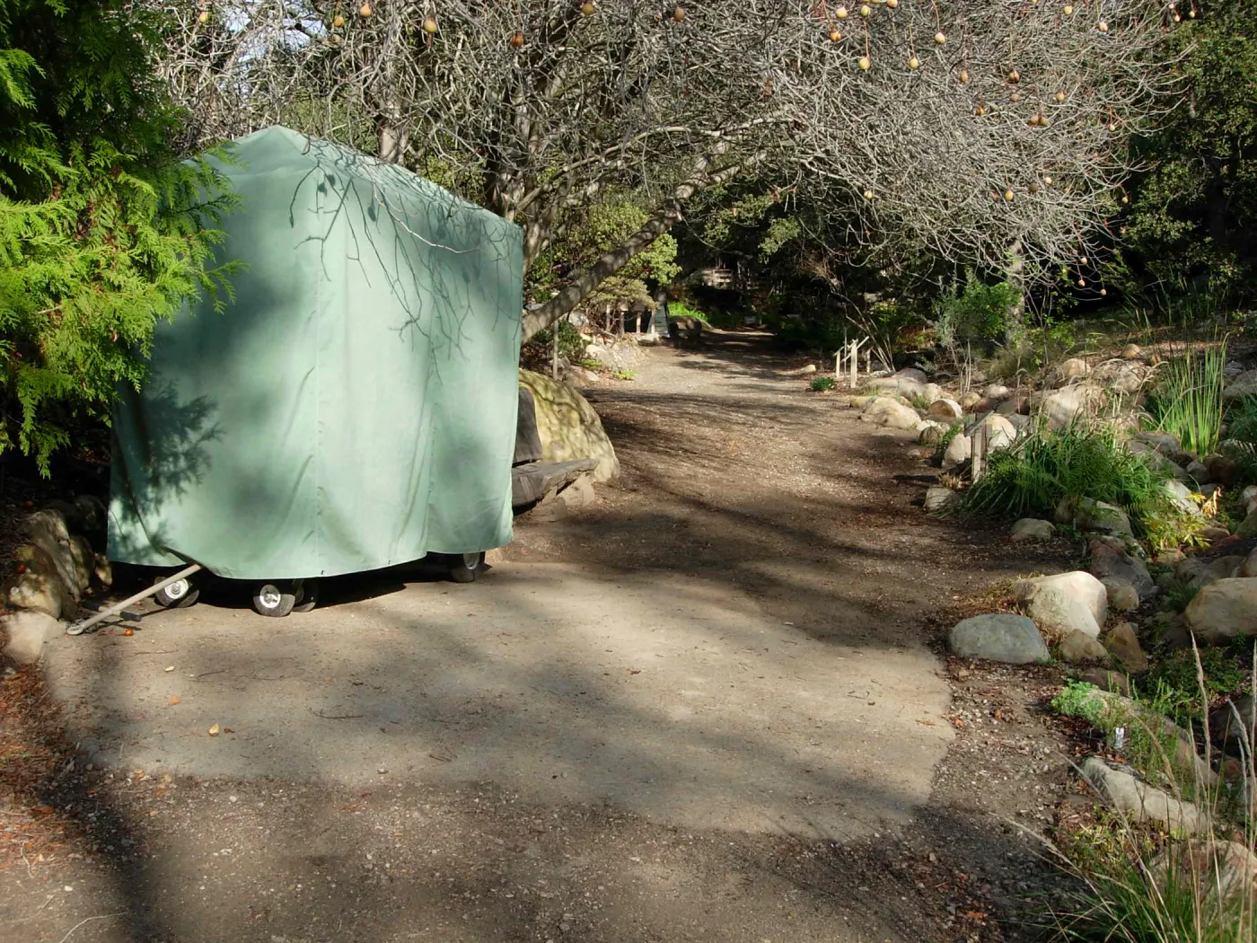 pad installed for Discovery Cart in the Arroyo, SBBG 2006 Projects