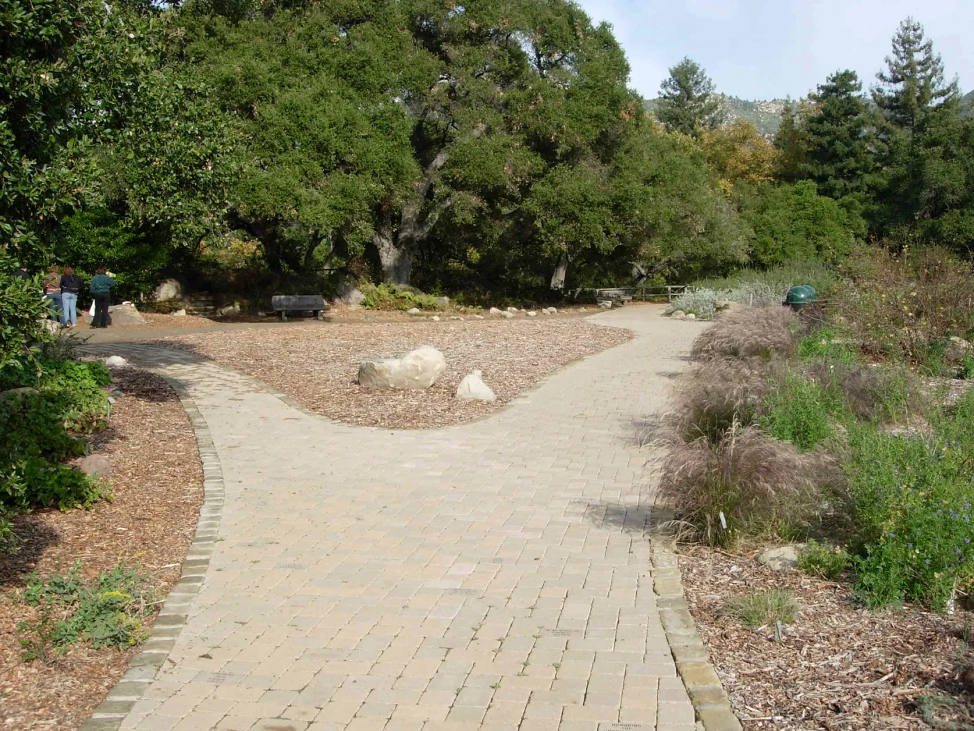 Accessible paving installed alonf the Meadow, SBBG 2006 Projects