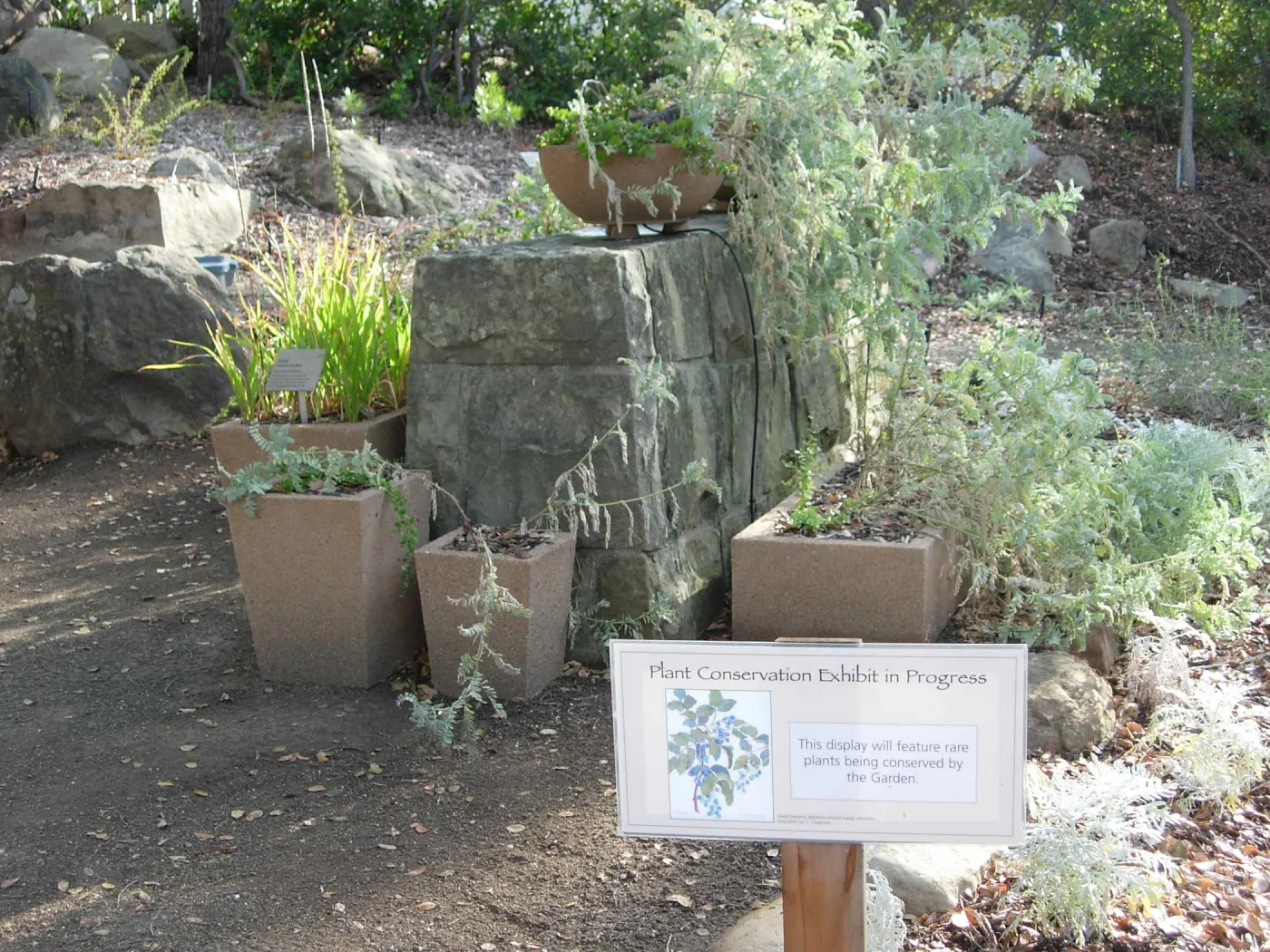 new Plant Conservation display garden, SBBG 2006 Projects