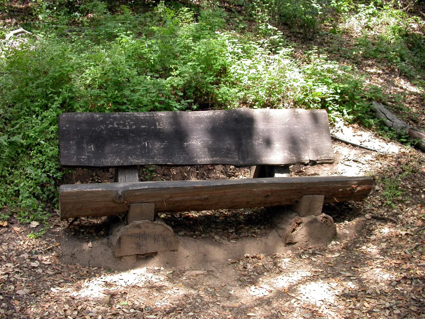 Elizabeth Rapp Bench, P 27 (Bench #43)