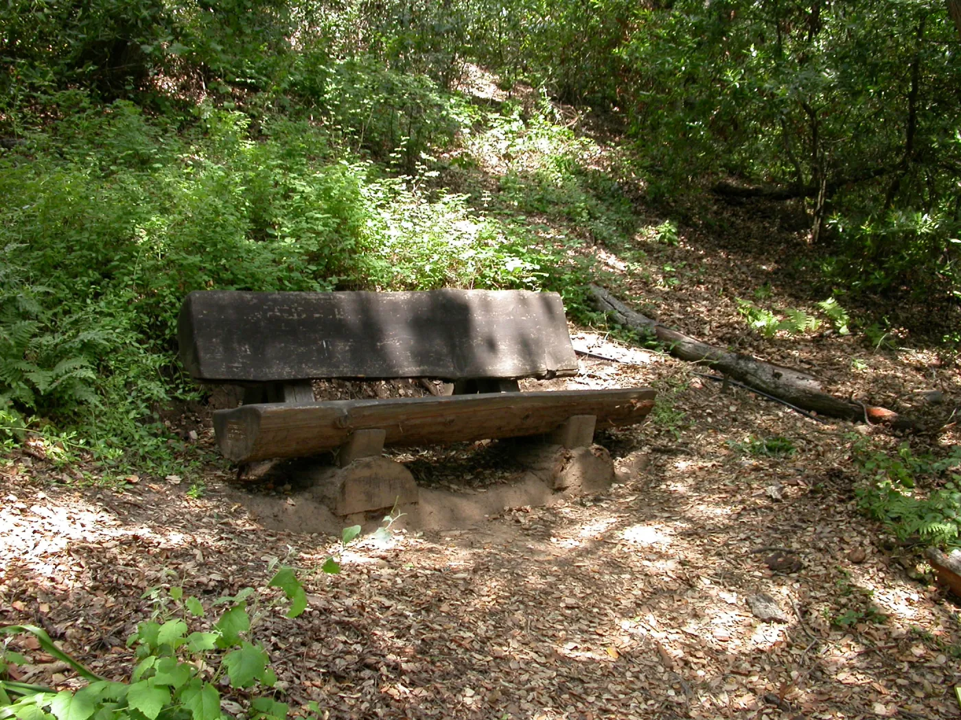 Elizabeth Rapp Bench, P 27 (Bench #43)