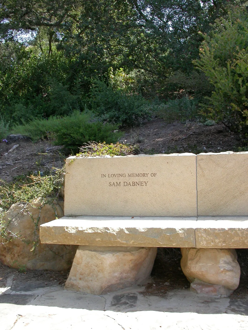 Dabney Bench (Bench #60)