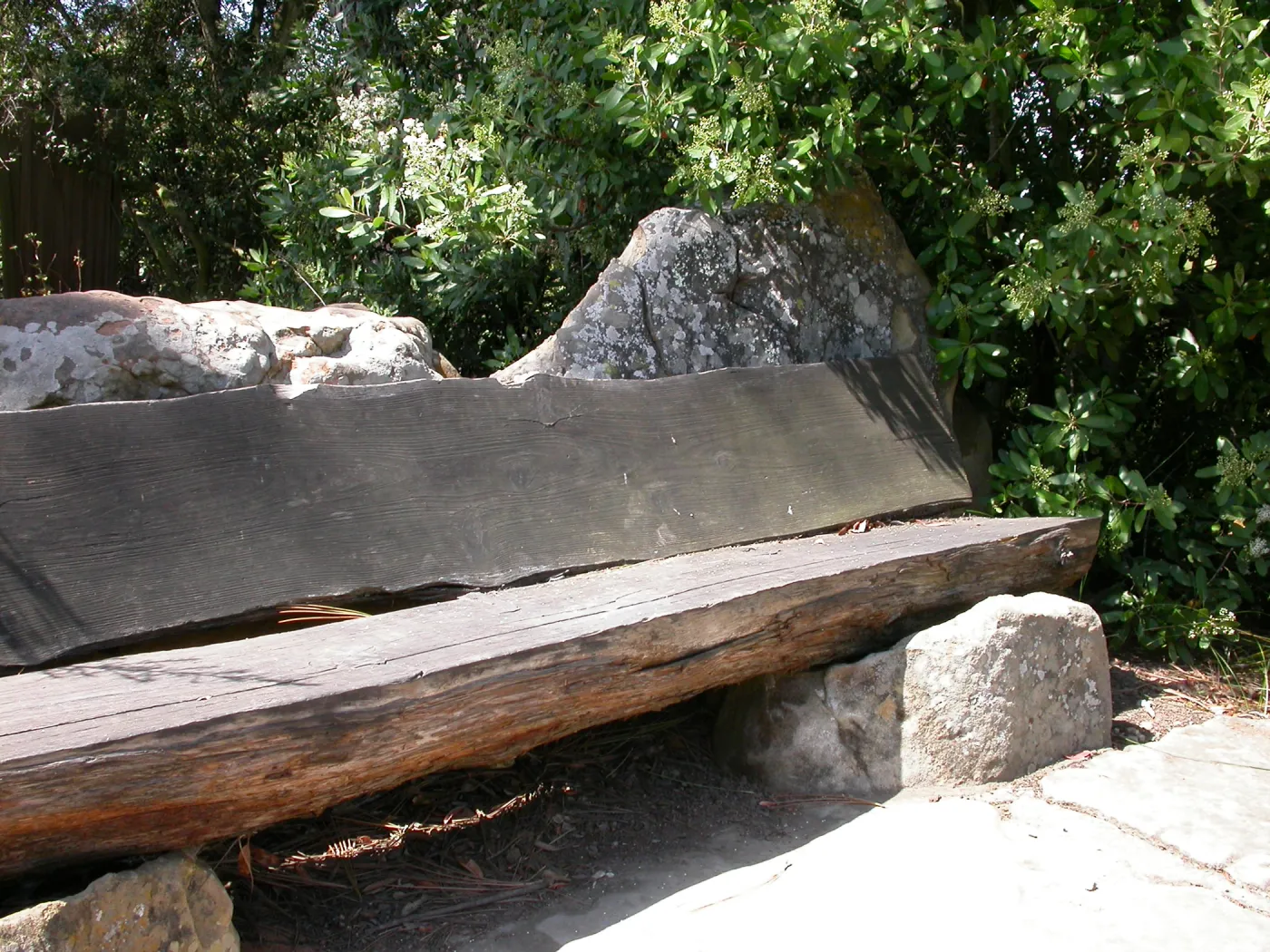 Mr. and Mrs. William Stratton Porter Bench (bench #64)