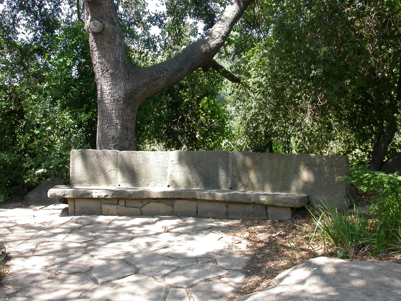 Palme Bench (Bench #20)