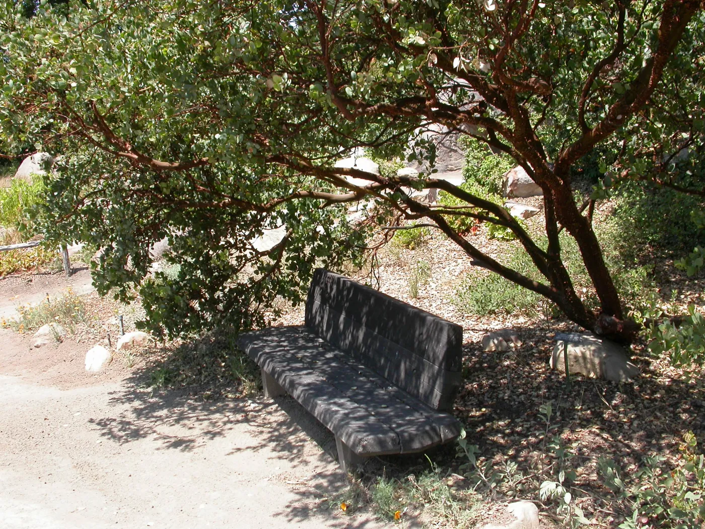 Howland Bench (Bench #9)