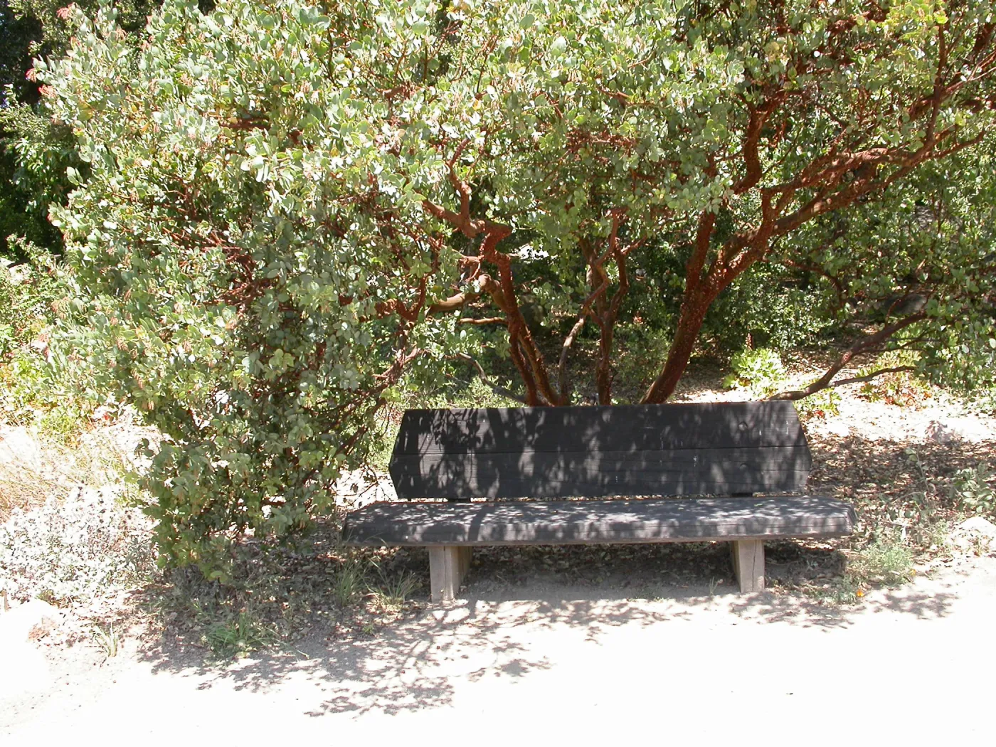 Howland Bench