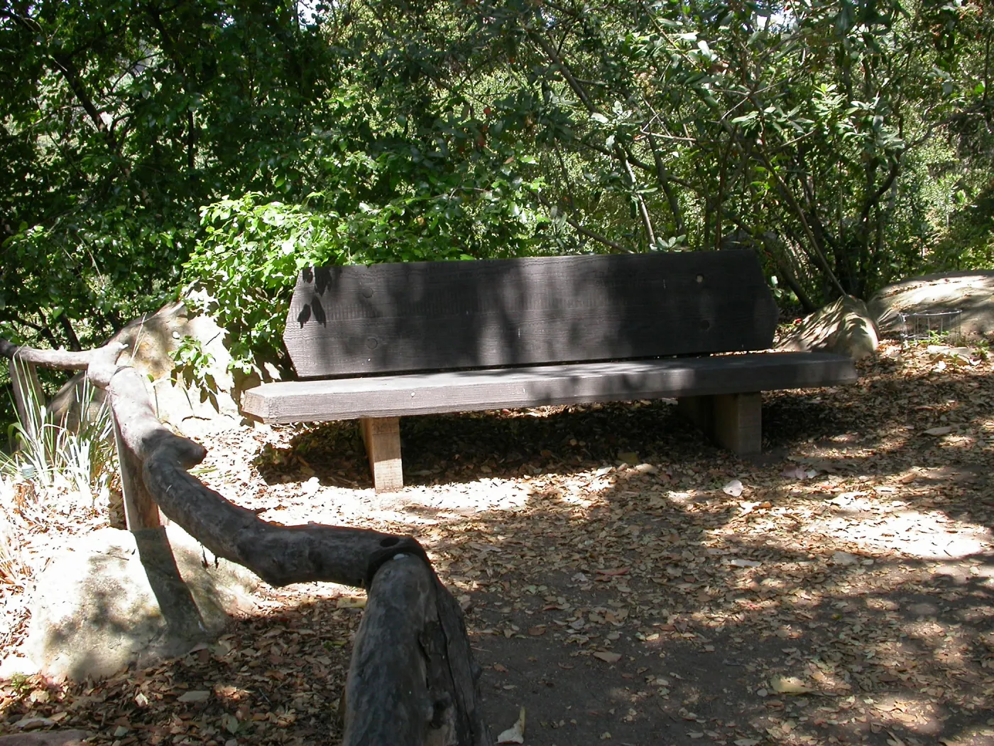 Pettit Bench (Bench #10)
