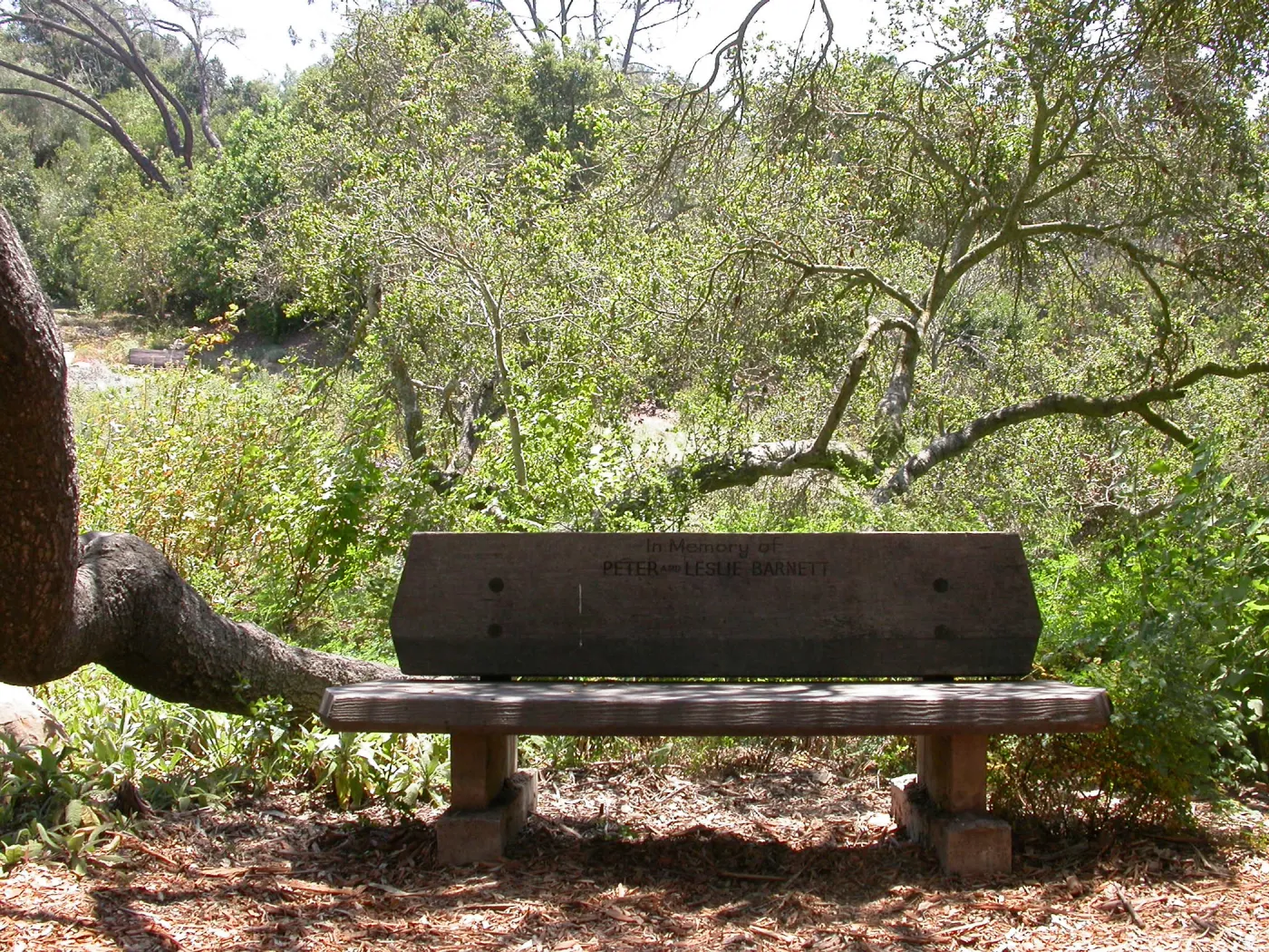 Barnett Bench (Bench #11)
